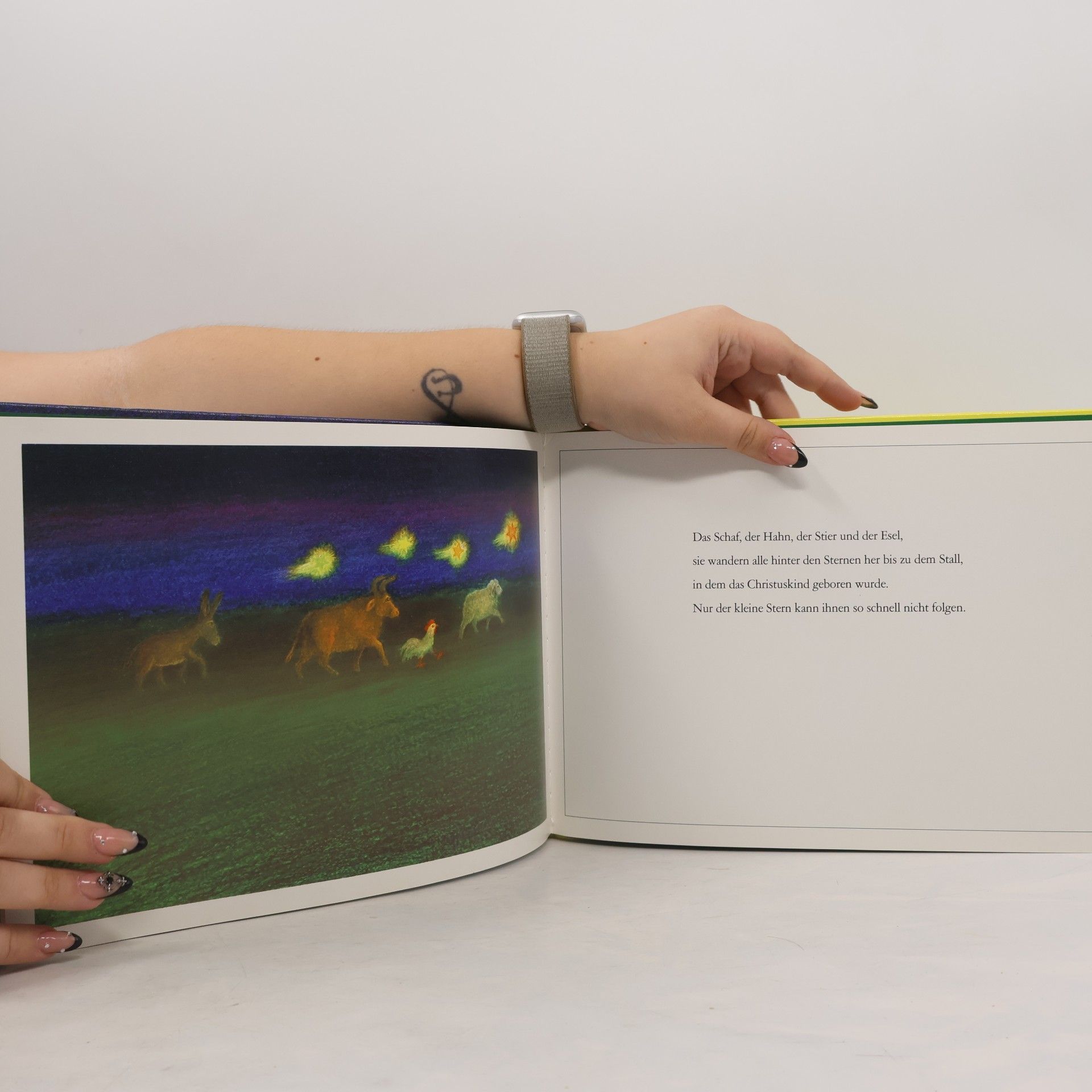 Masahiro Kasuya Der kleine Stern