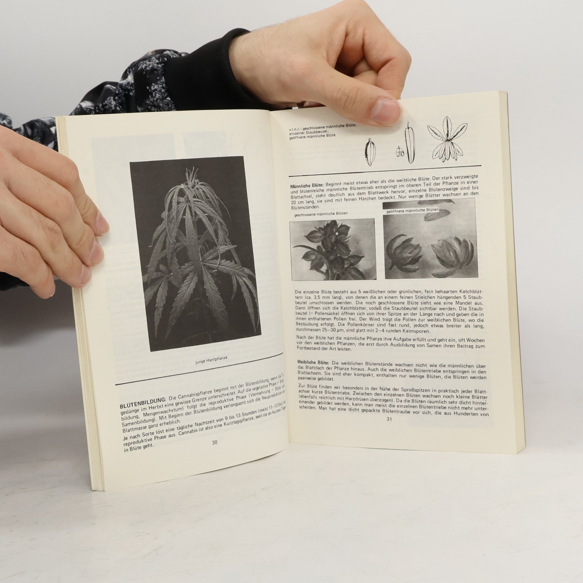 Hainer Hai Das definitive deutsche Hanf-Handbuch