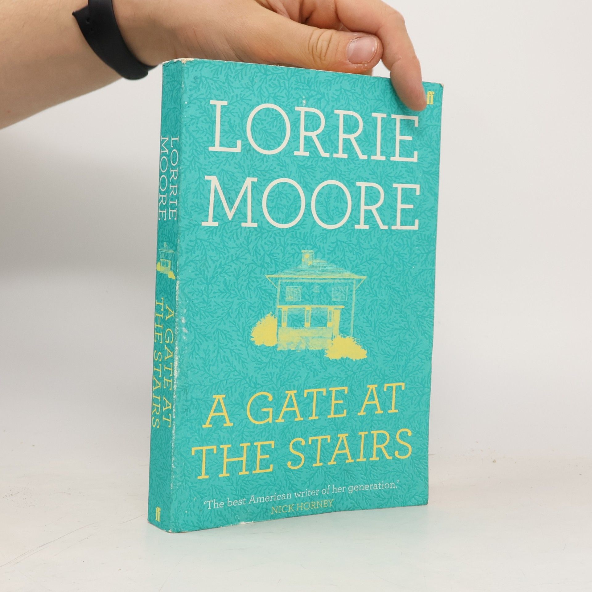 Lorrie Moore A Gate at the Stairs