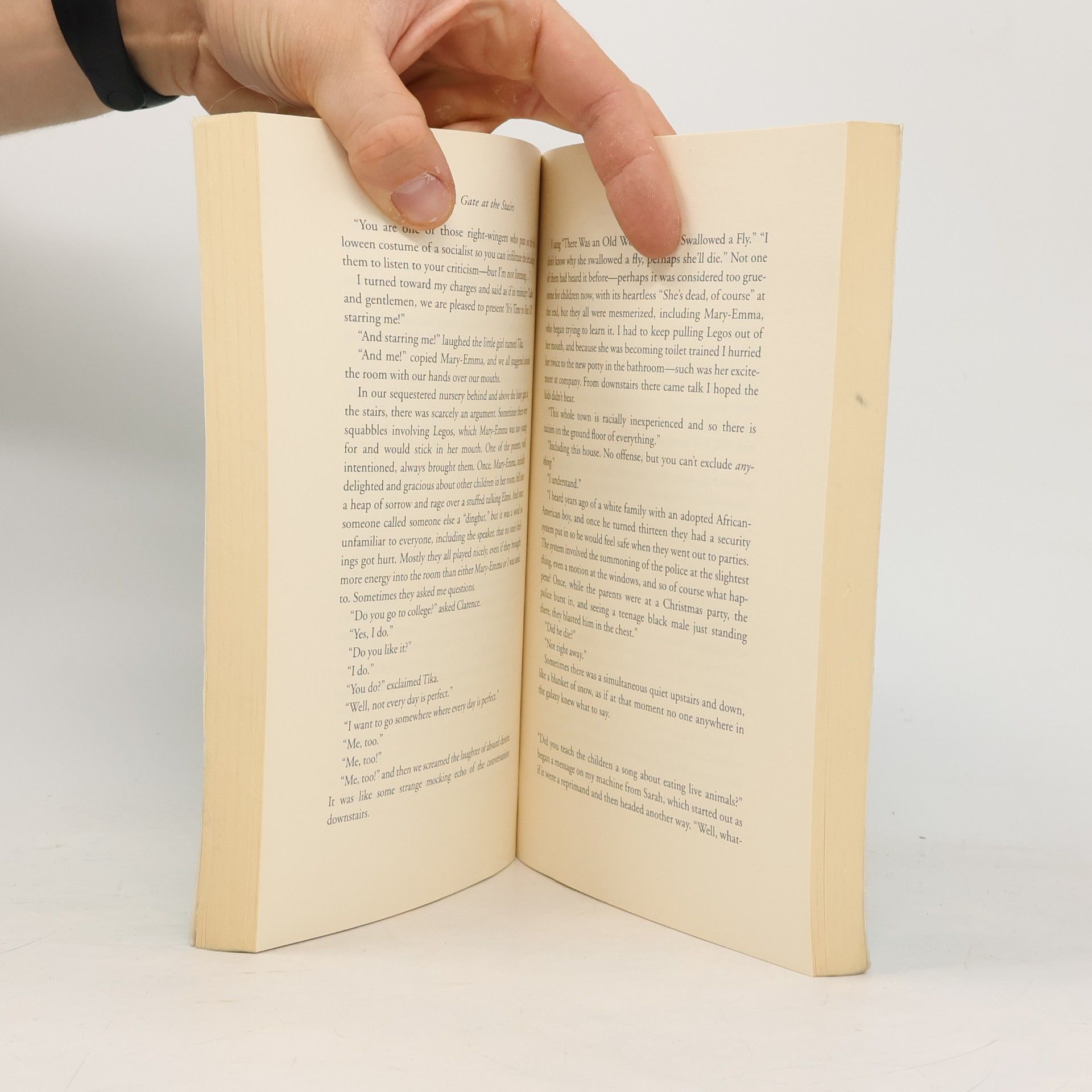 Lorrie Moore A Gate at the Stairs