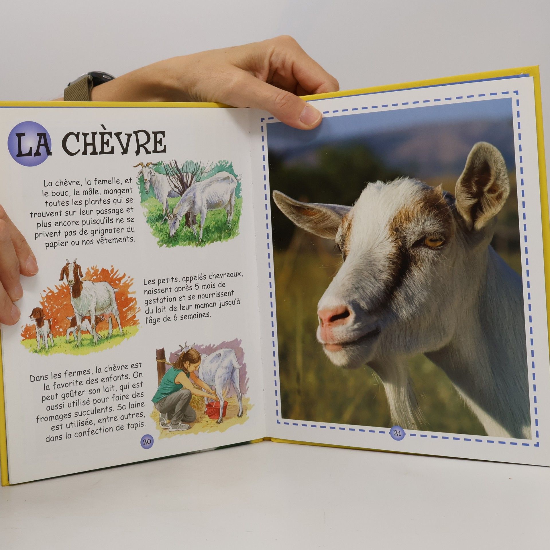 John Dillow Les animaux de la ferme