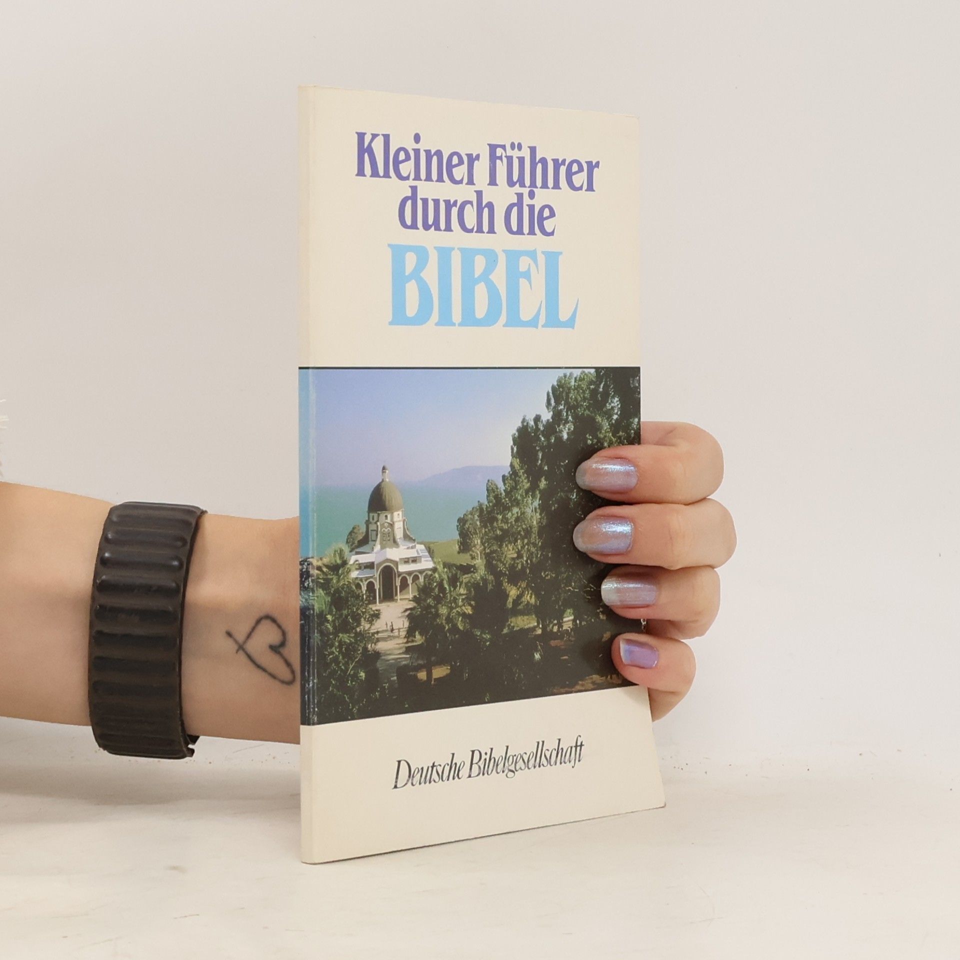 Autorenkollektiv Kleiner Führer durch die Bibel