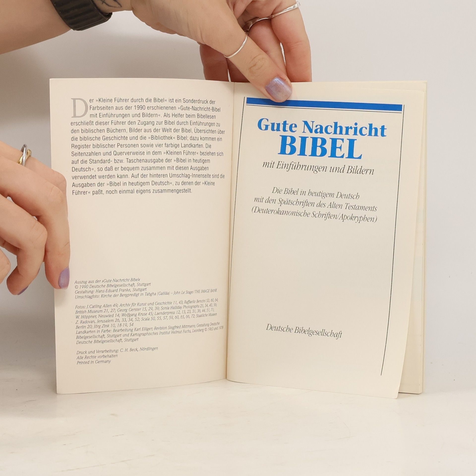 Autorenkollektiv Kleiner Führer durch die Bibel