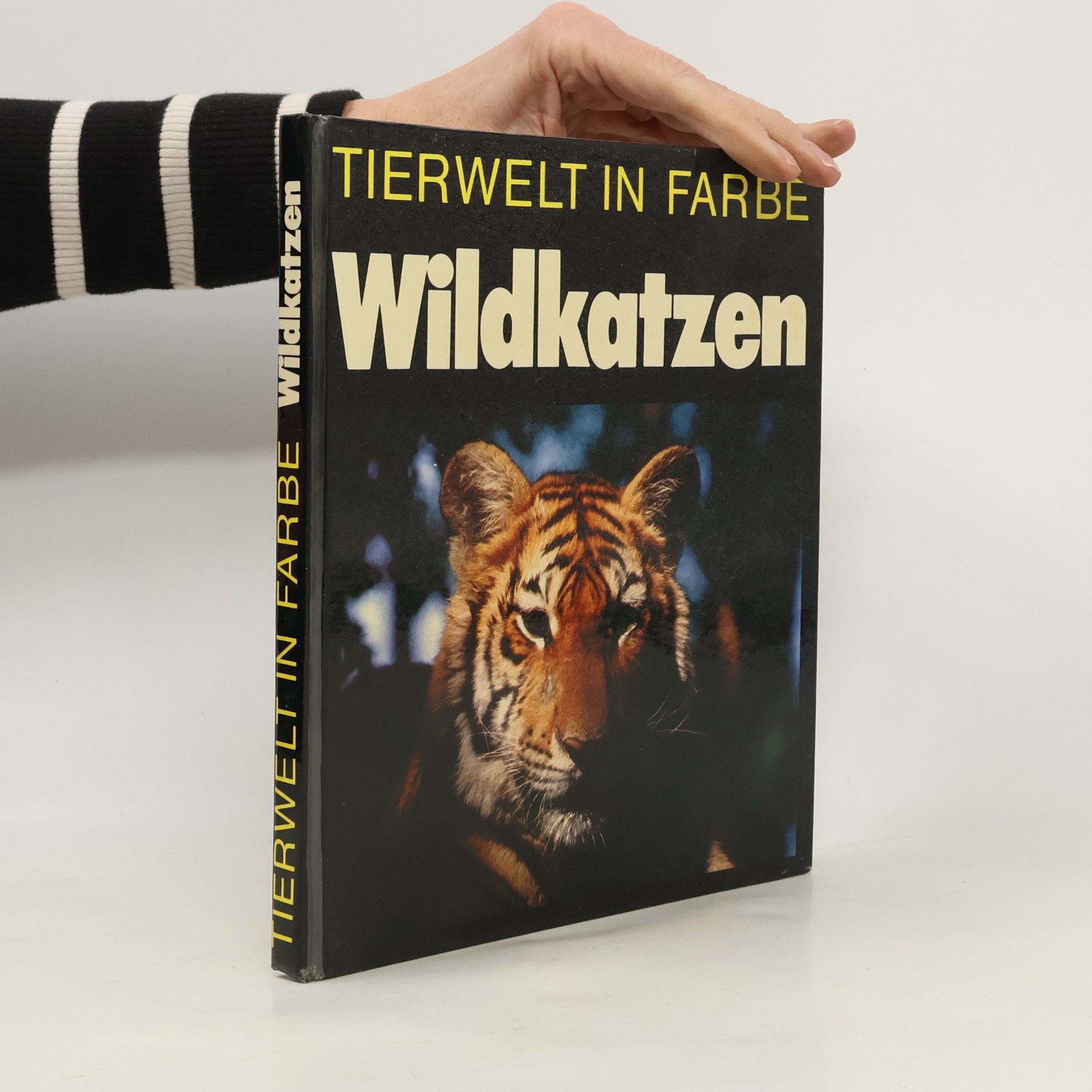 Erich Gratzenberger Wildkatzen