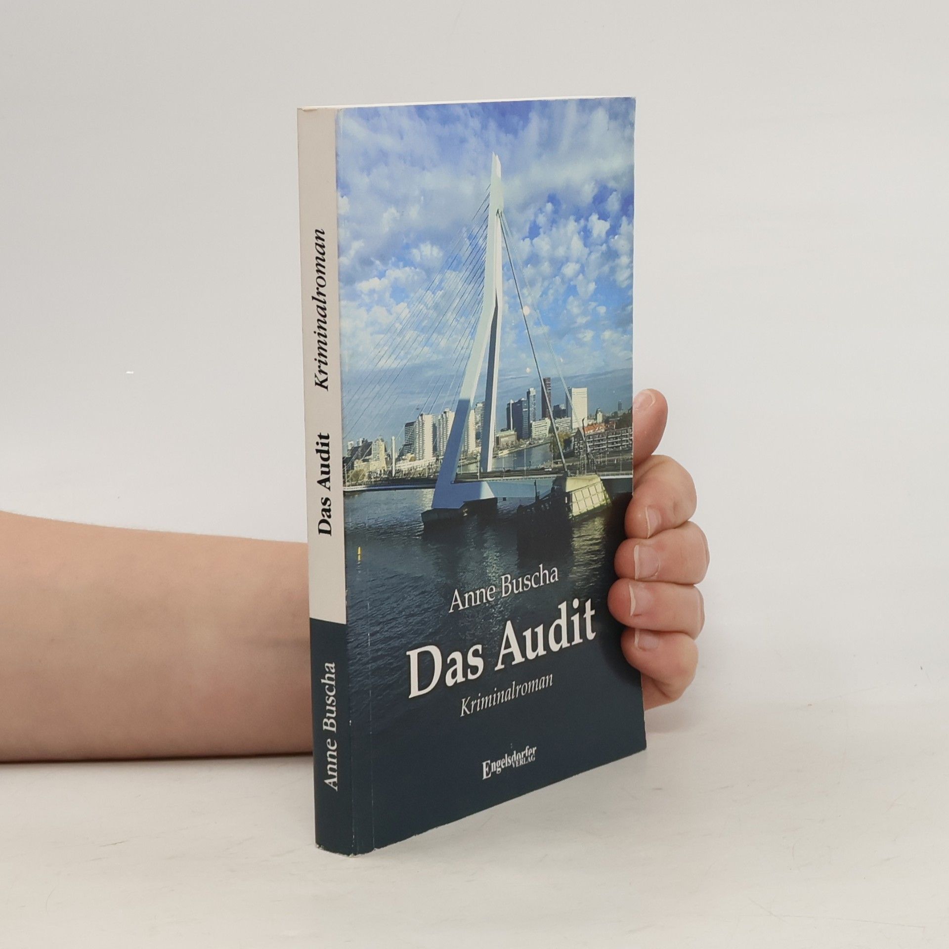 Anne Buscha Das Audit