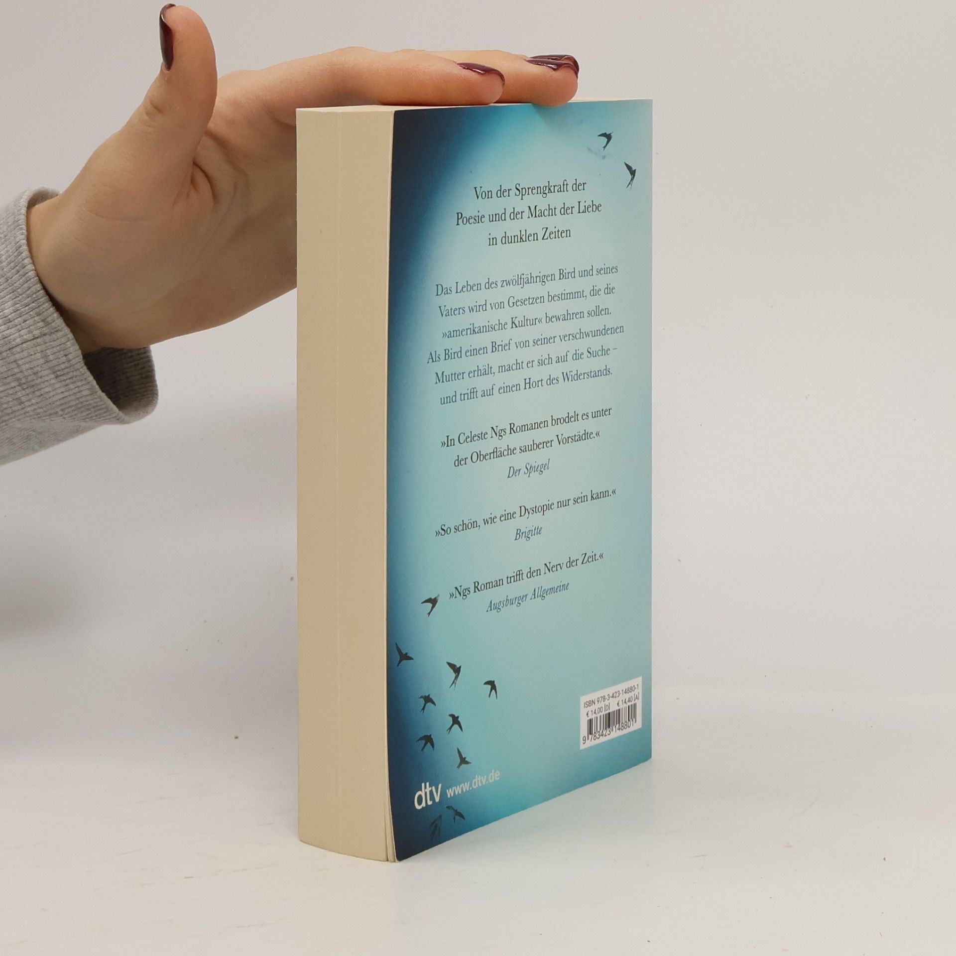 Celeste Ng Unsre verschwundenen Herzen