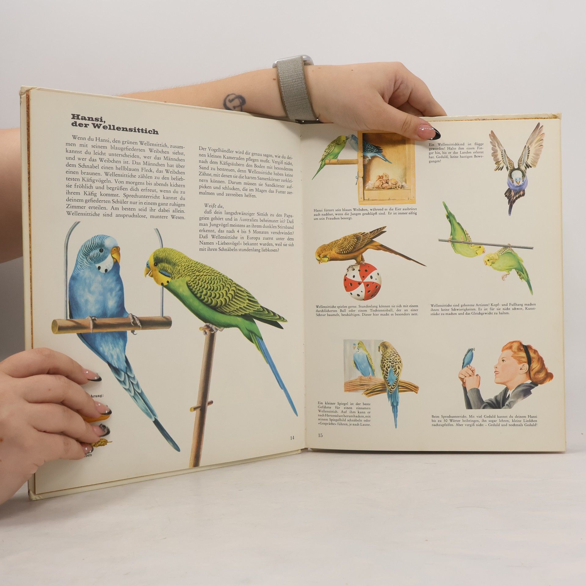 Collectif d'auteurs Bunter Kinder-Kosmos. Tiere in Haus und Garten