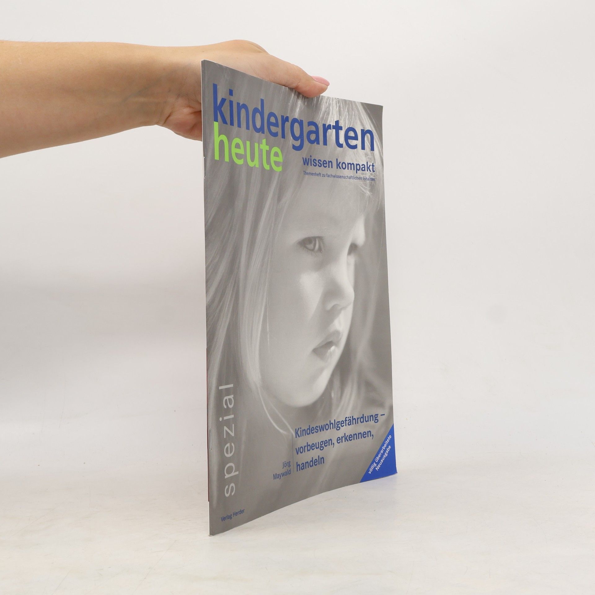 Jörg Maywald Kindeswohlgefährdung - Vorbeugen, Erkennen, Handeln