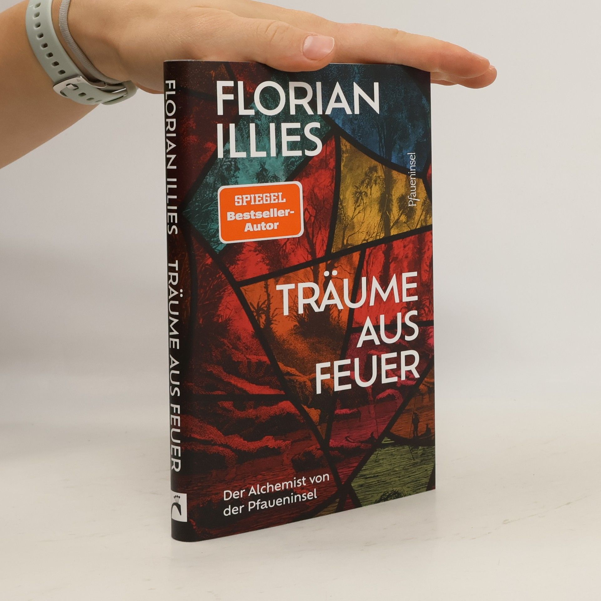 Träume aus Feuer
