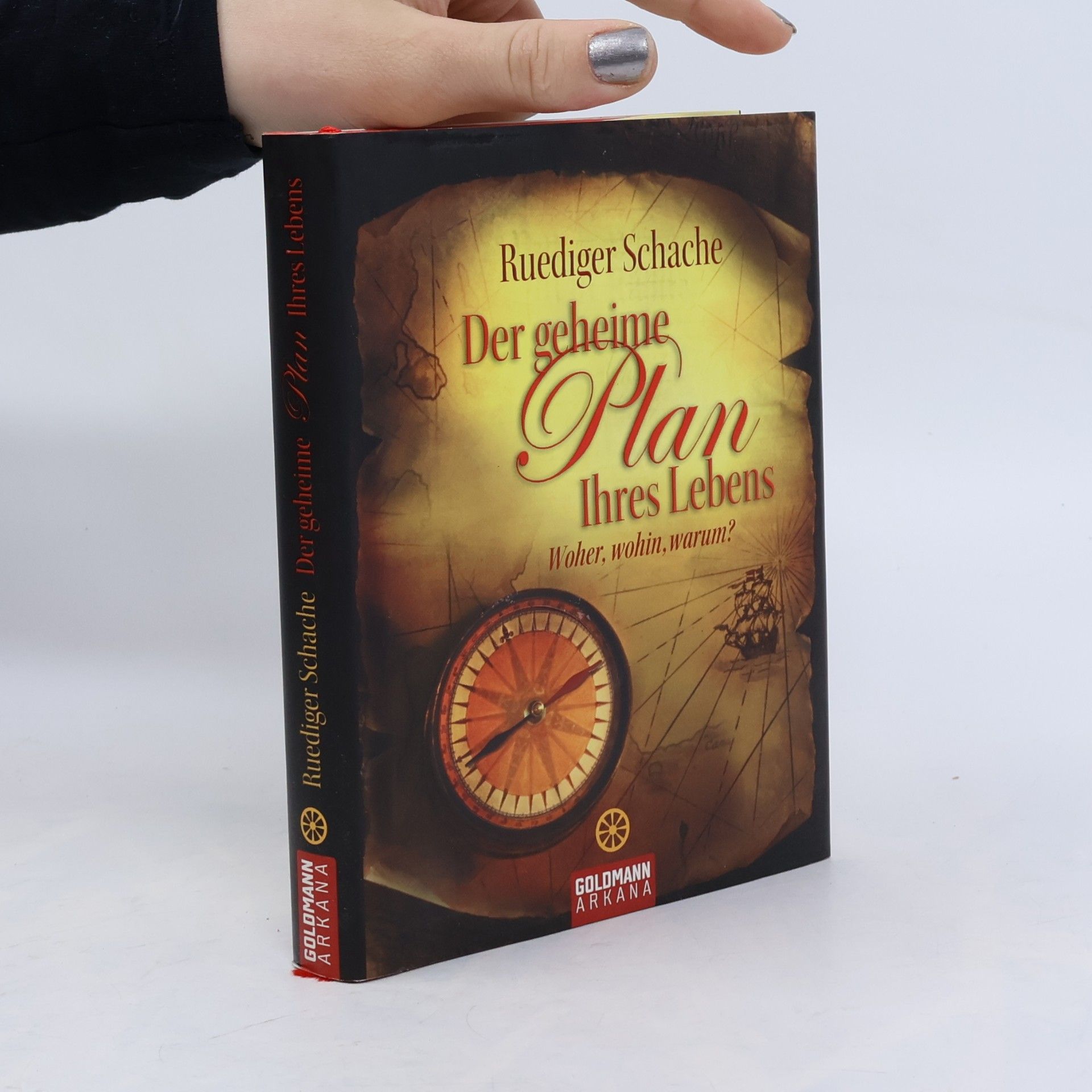 Ruediger Schache Der geheime Plan Ihres Lebens