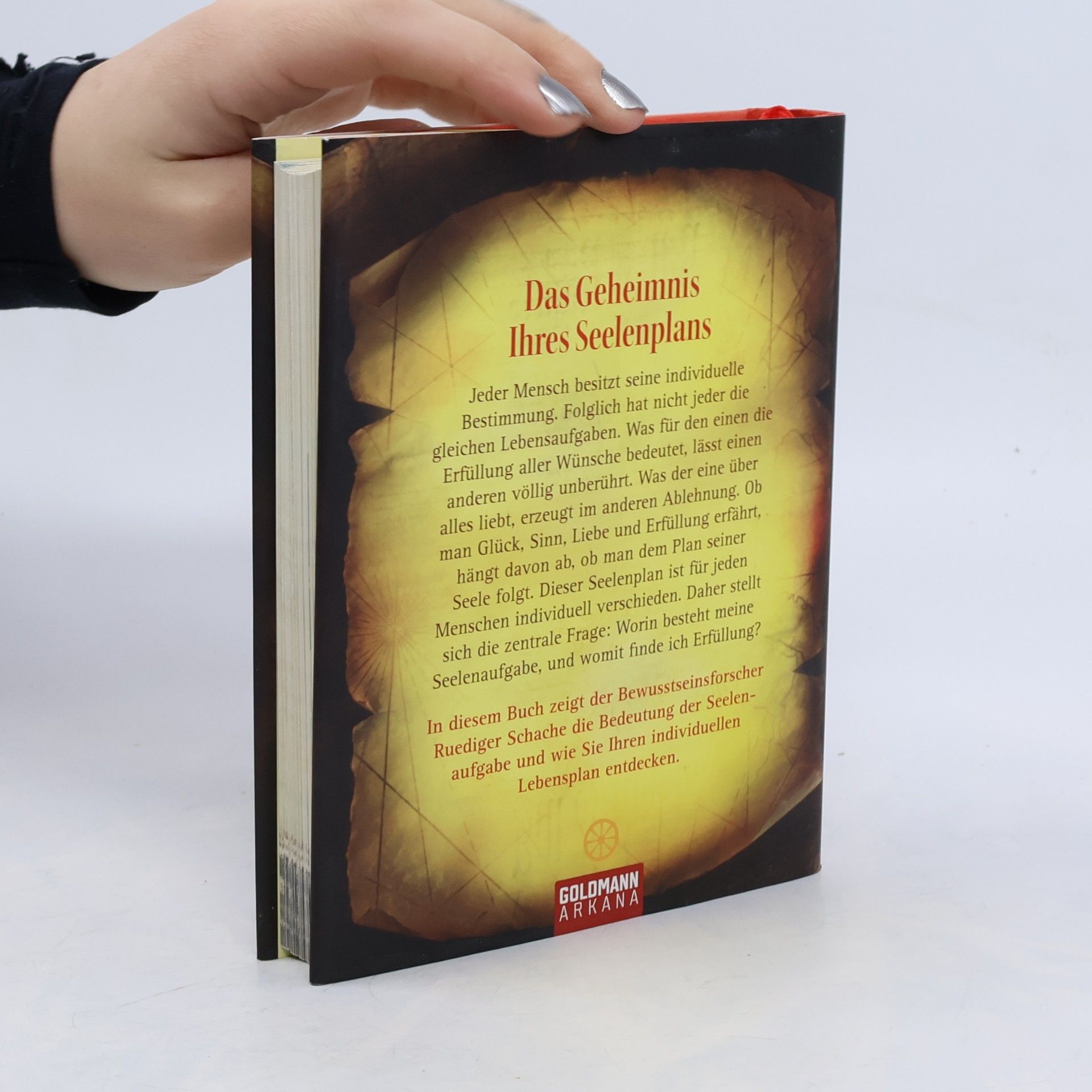 Ruediger Schache Der geheime Plan Ihres Lebens