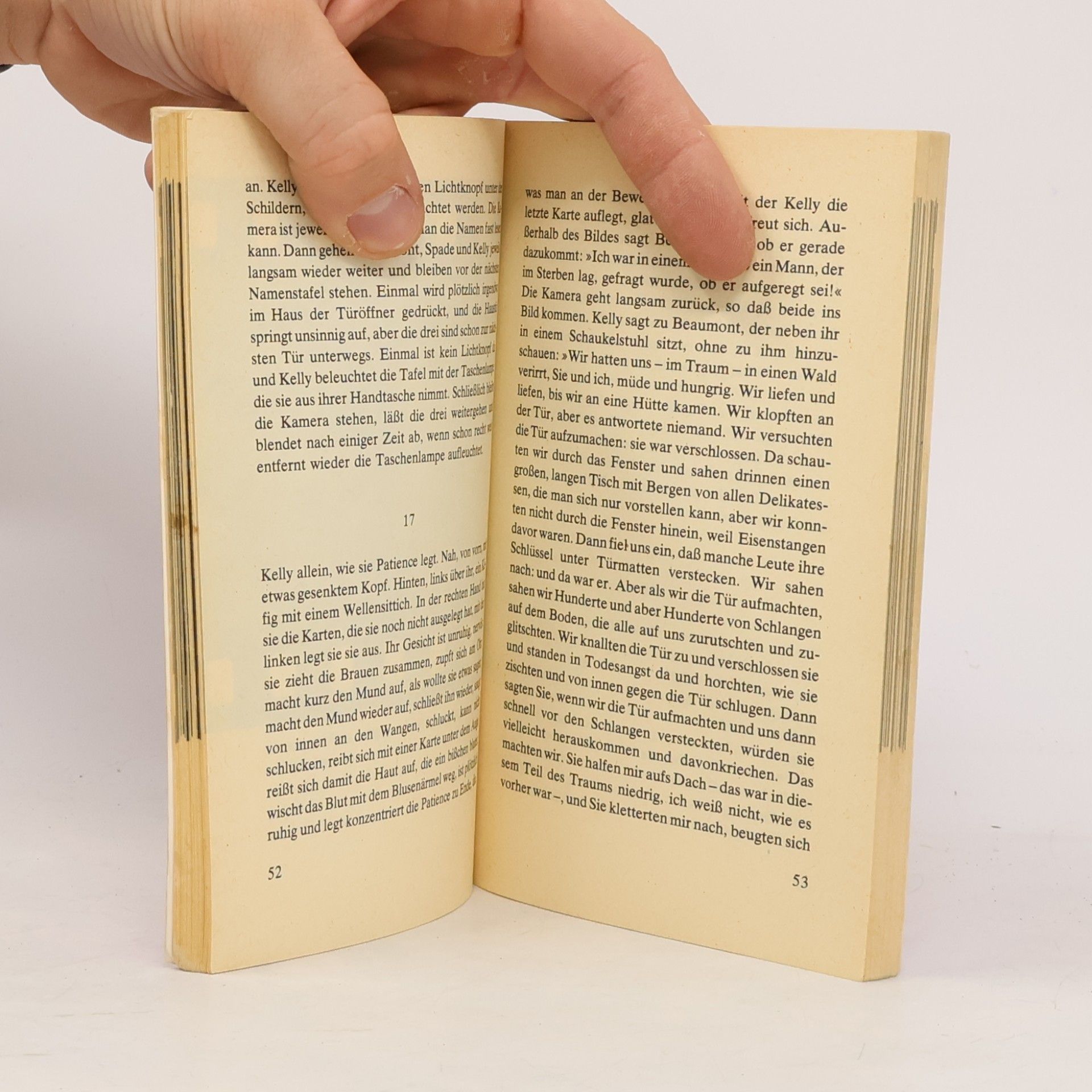 Peter Handke Chronik der laufenden Ereignisse