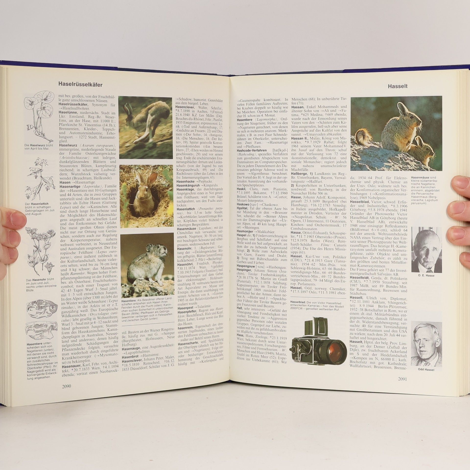 Autorenkollektiv Der Knaur. Universal Lexikon in 15 Bänden. 6