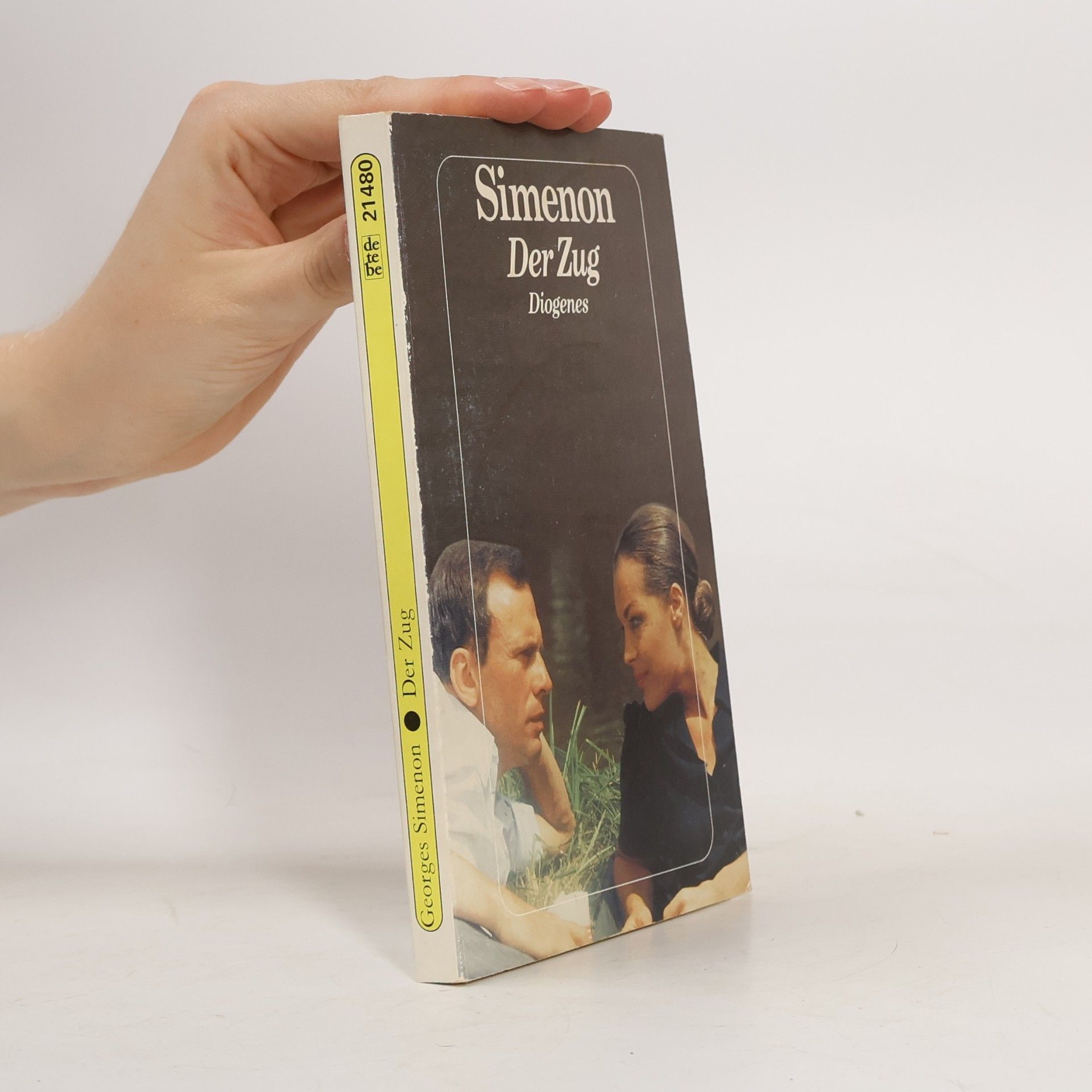 Georges Simenon Der Zug