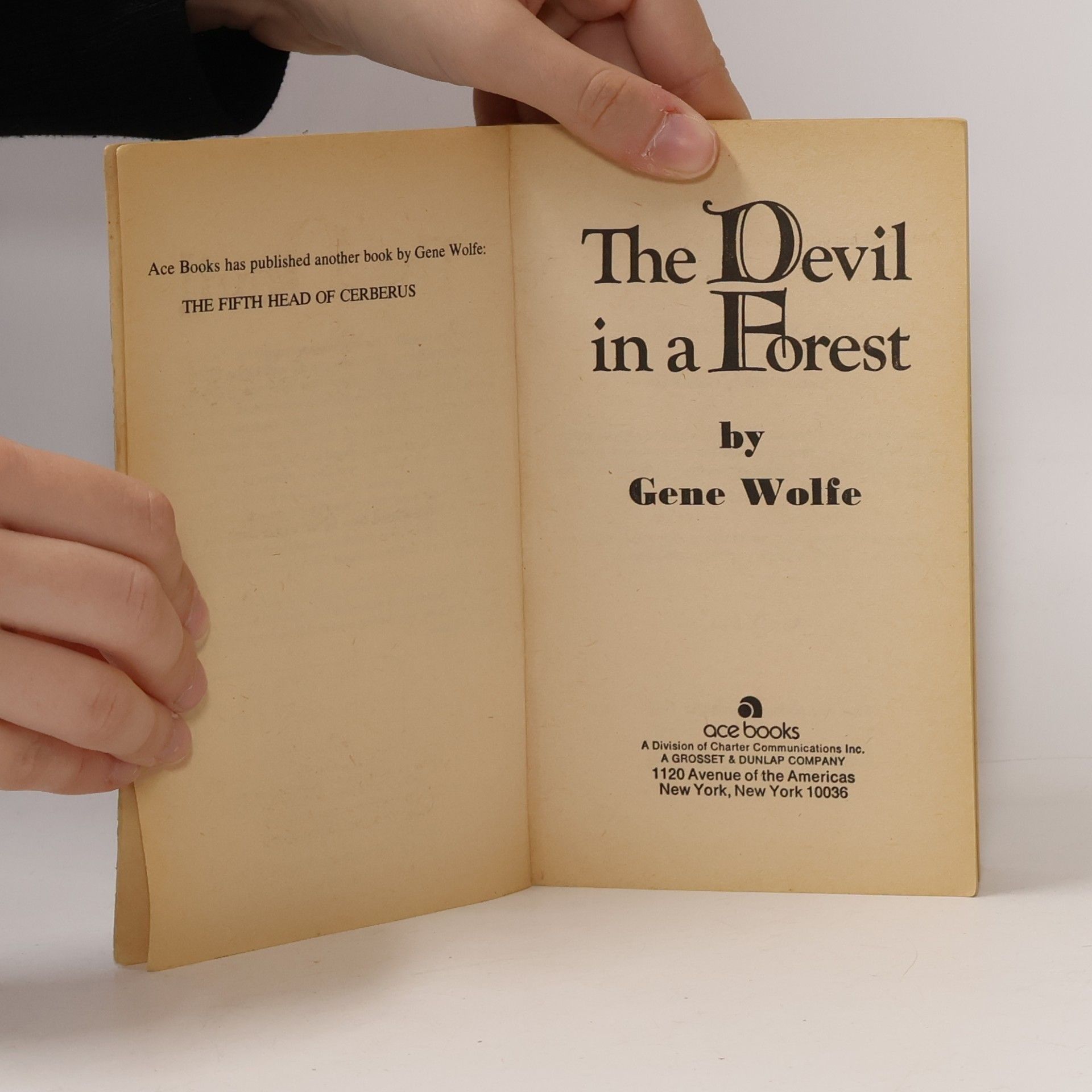 Gene Wolfe The Devil in a Forest