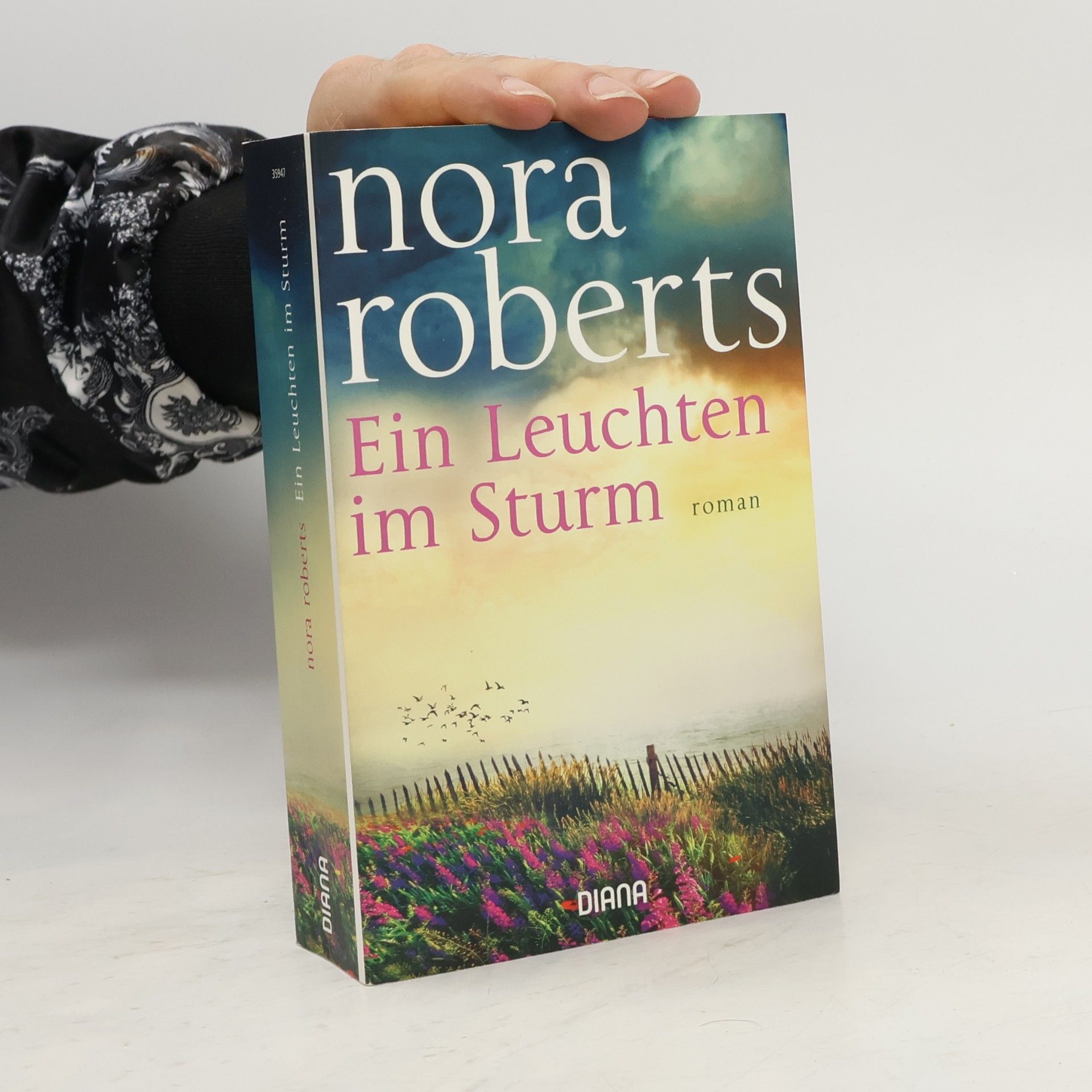 Ein Leuchten im Sturm