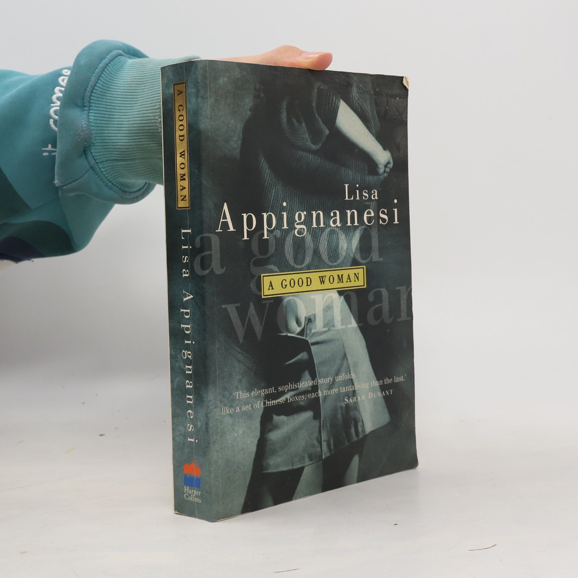 Lisa Appignanesi A Good Woman
