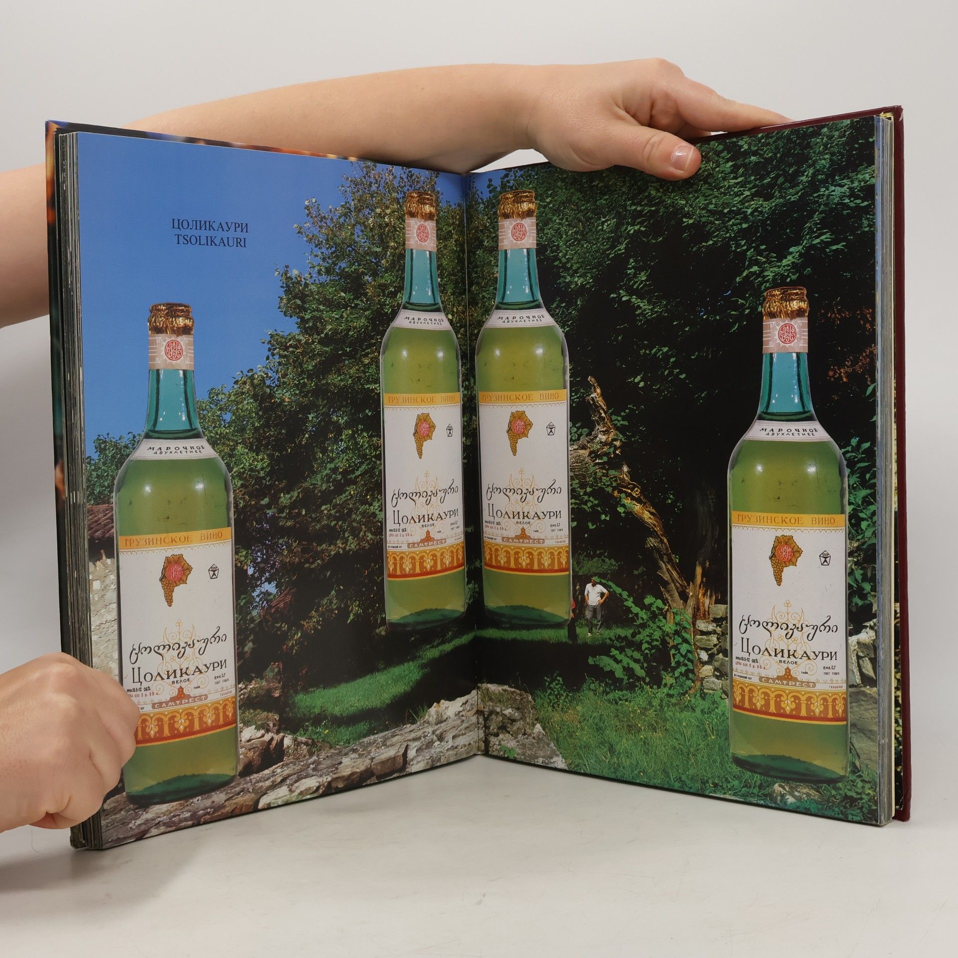 Vladimir Ivanis dze Chiaureli Грузинское вино. Georgian Wine