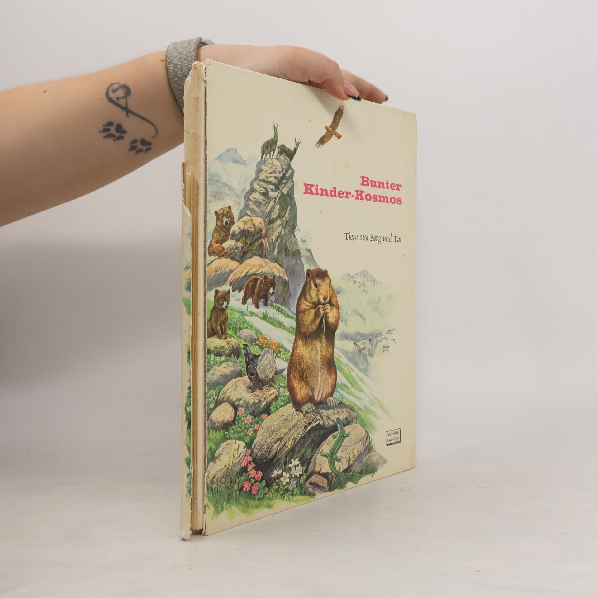 Autorenkollektiv Bunter Kinder-Kosmos