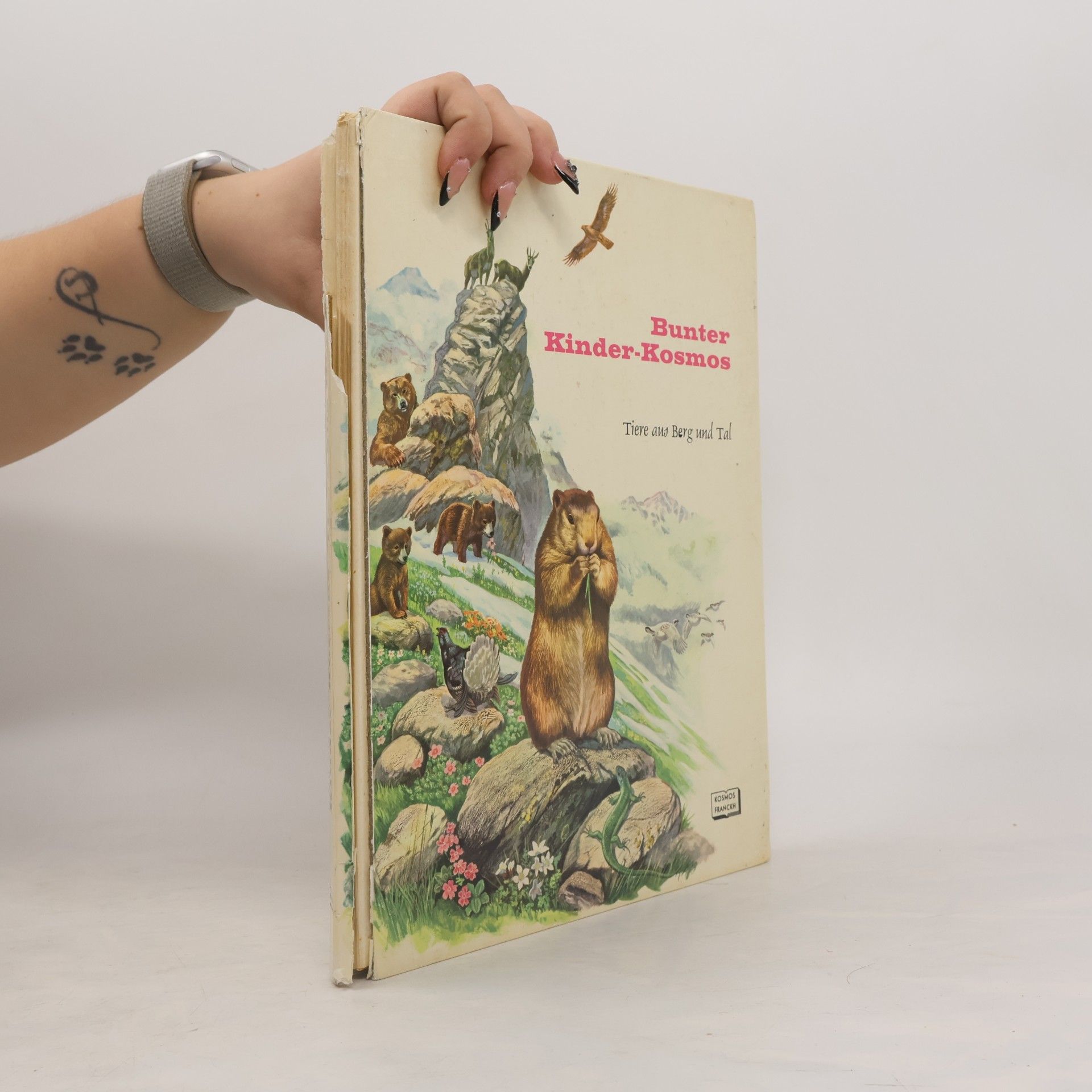 Autorenkollektiv Bunter Kinder-Kosmos
