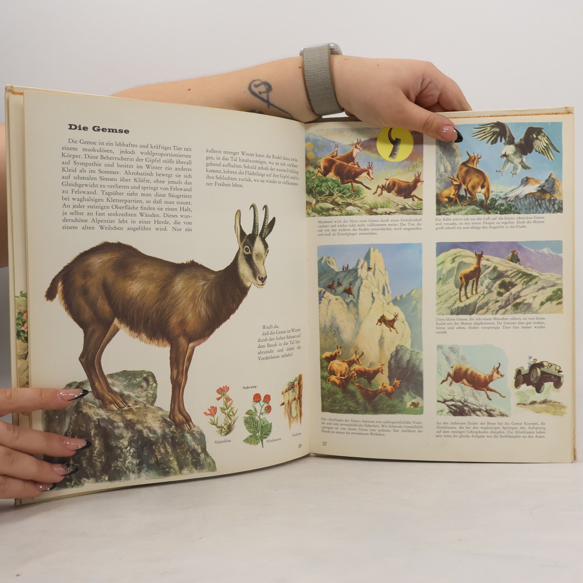 Autorenkollektiv Bunter Kinder-Kosmos