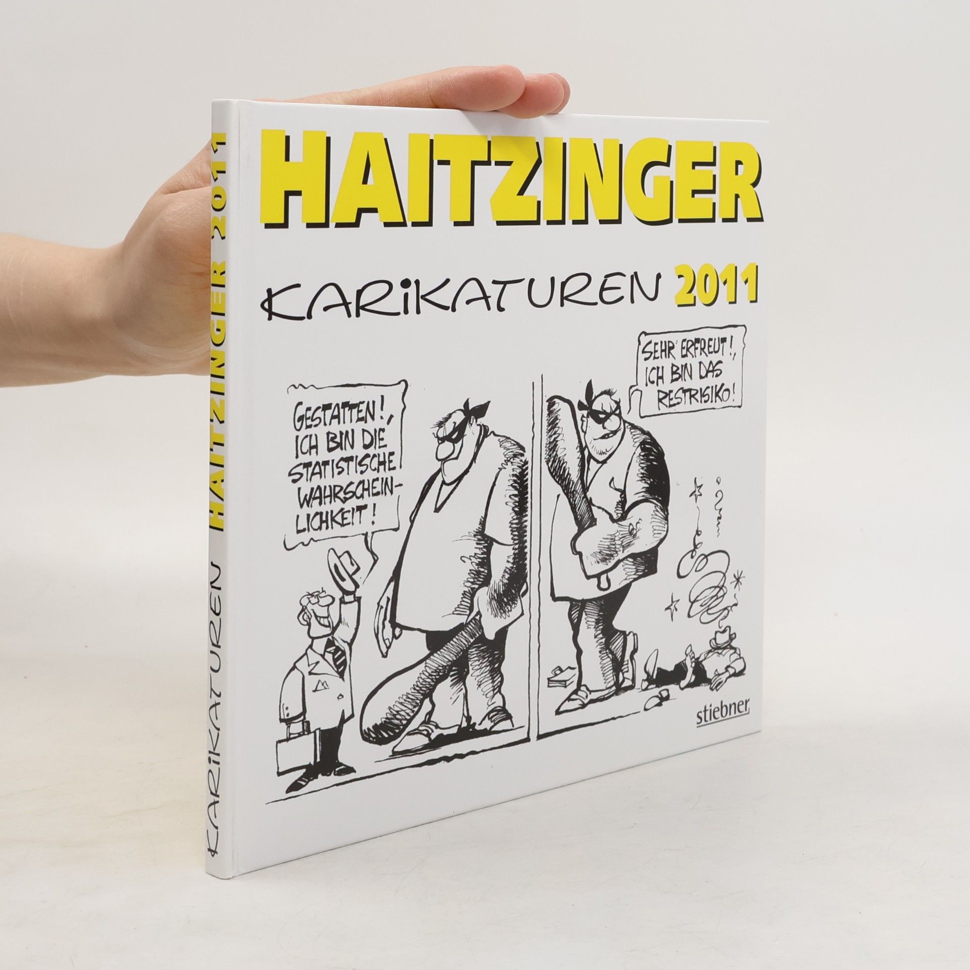 Haitzinger Karikaturen 2011
