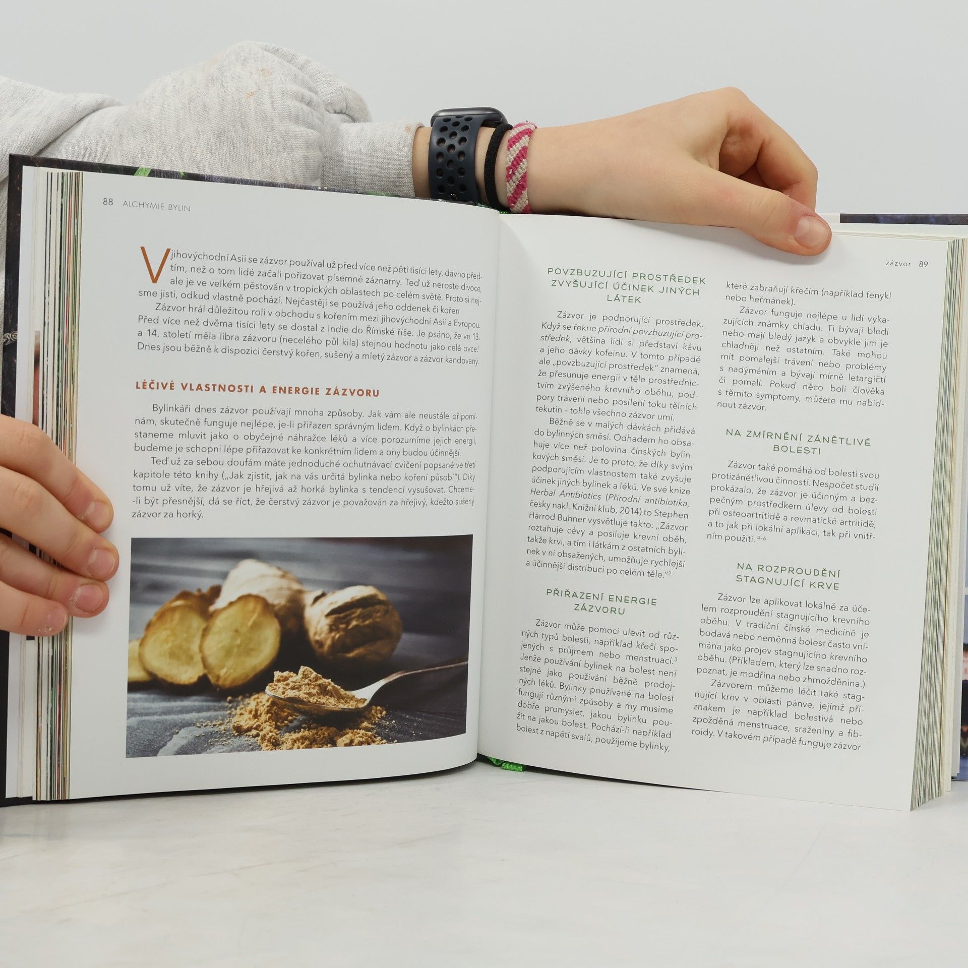 Rosalee De La Foret Alchymie bylin – Přírodní lékárna ve vaší kuchyni