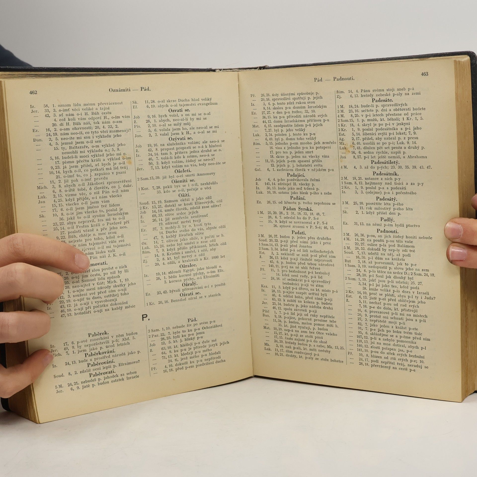 Various authors Biblická Konkordance