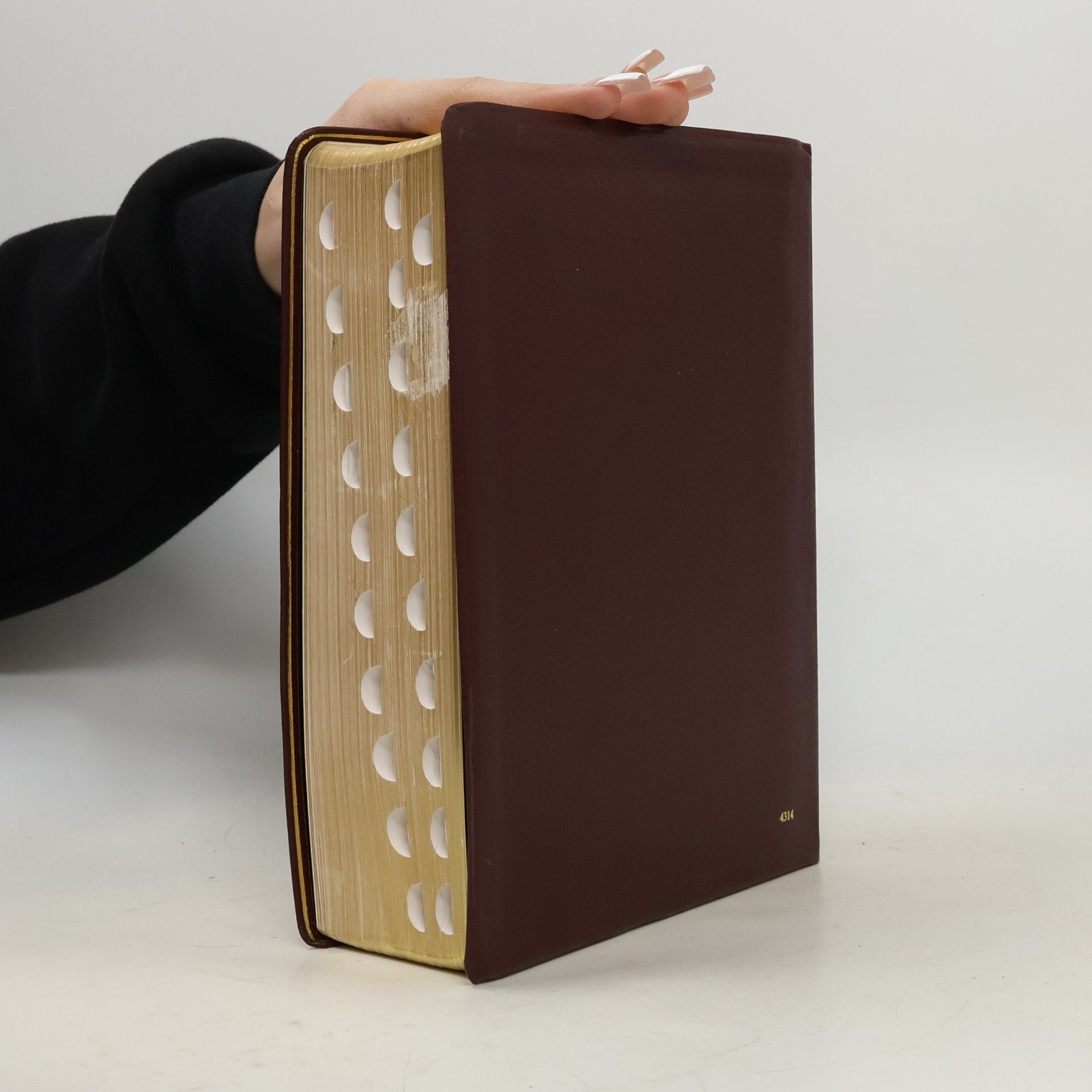 Donald Senior The Catholic Study Bible