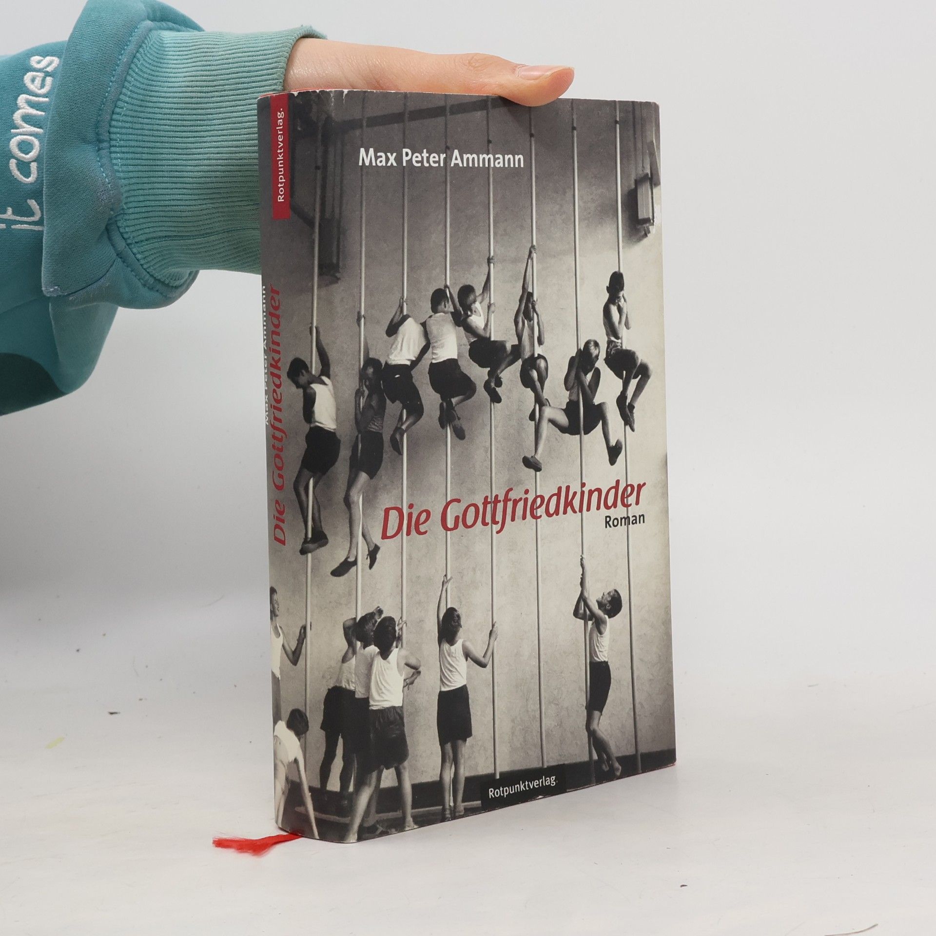 Die Gottfriedkinder. Roman