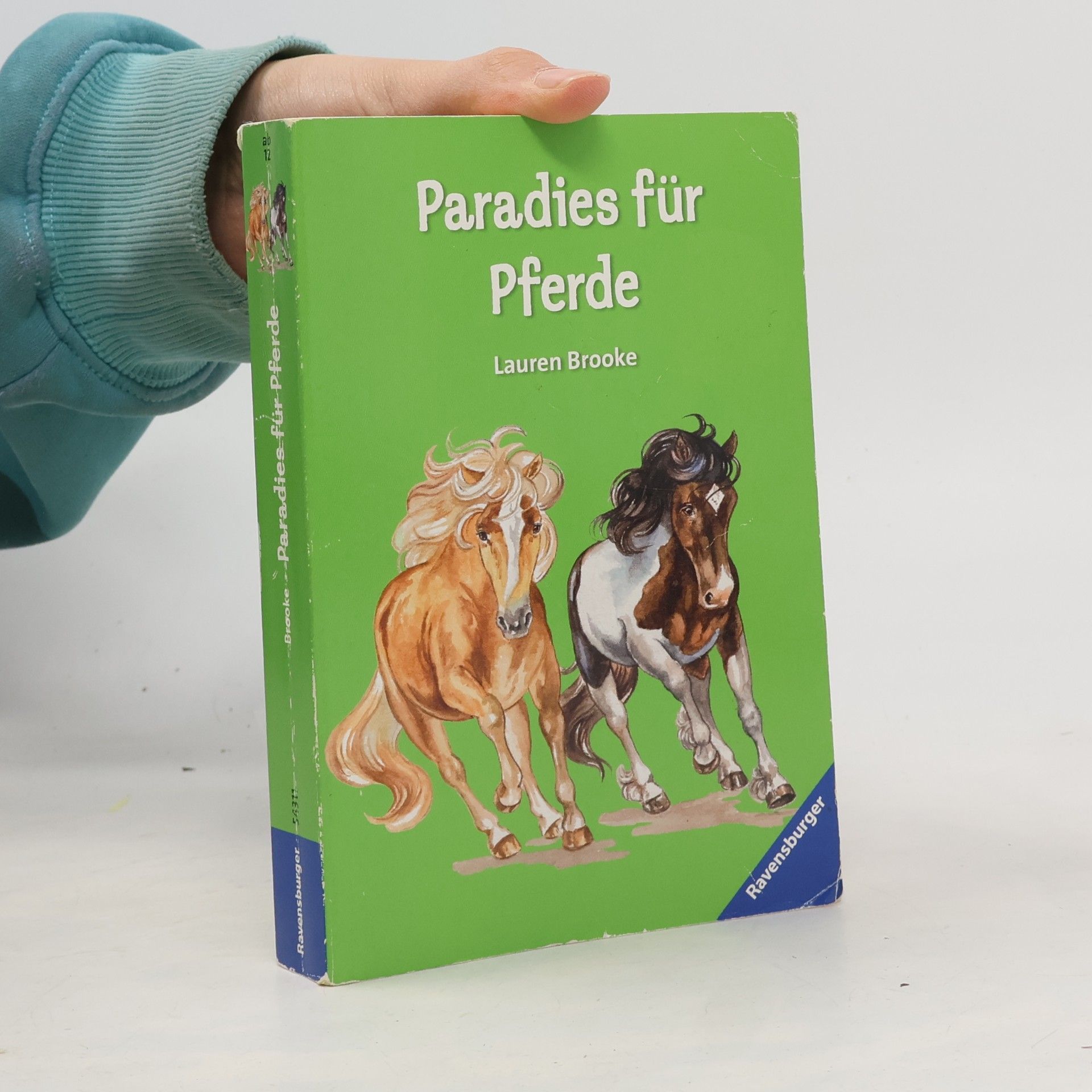 Paradies für Pferde