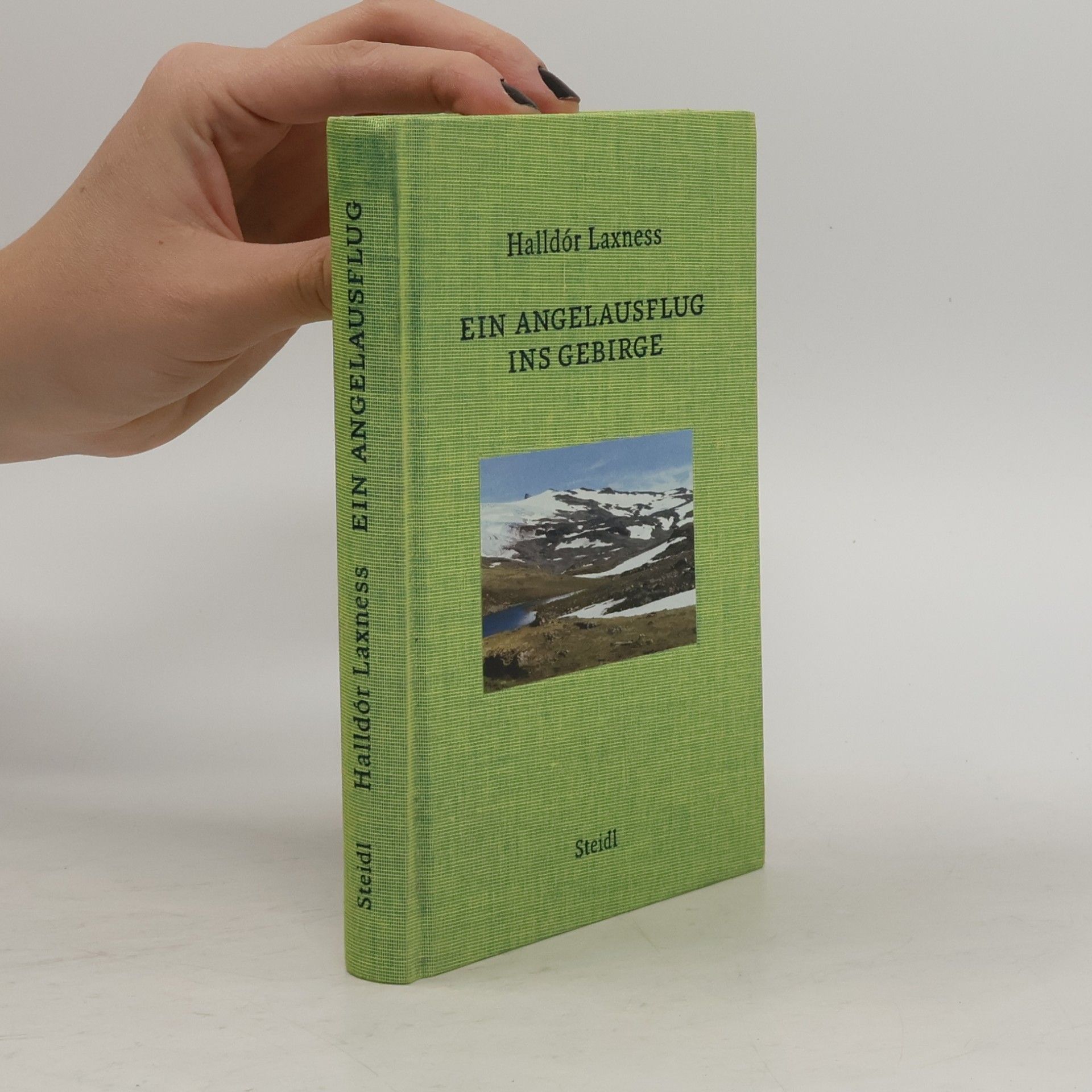Halldór Laxness Ein Angelausflug ins Gebirge