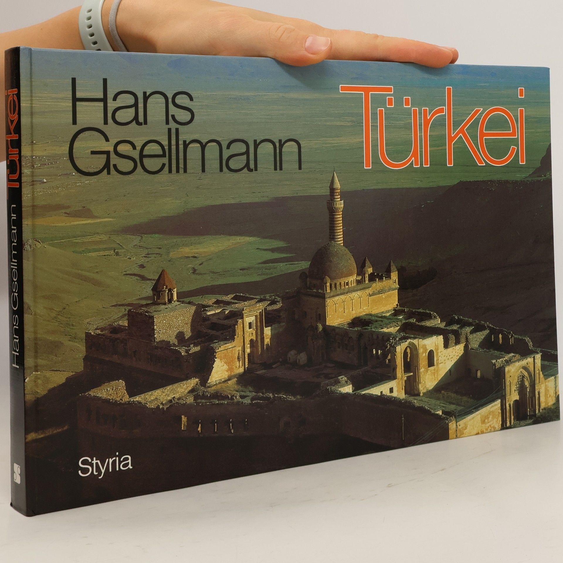 Hans Gsellmann Türkei