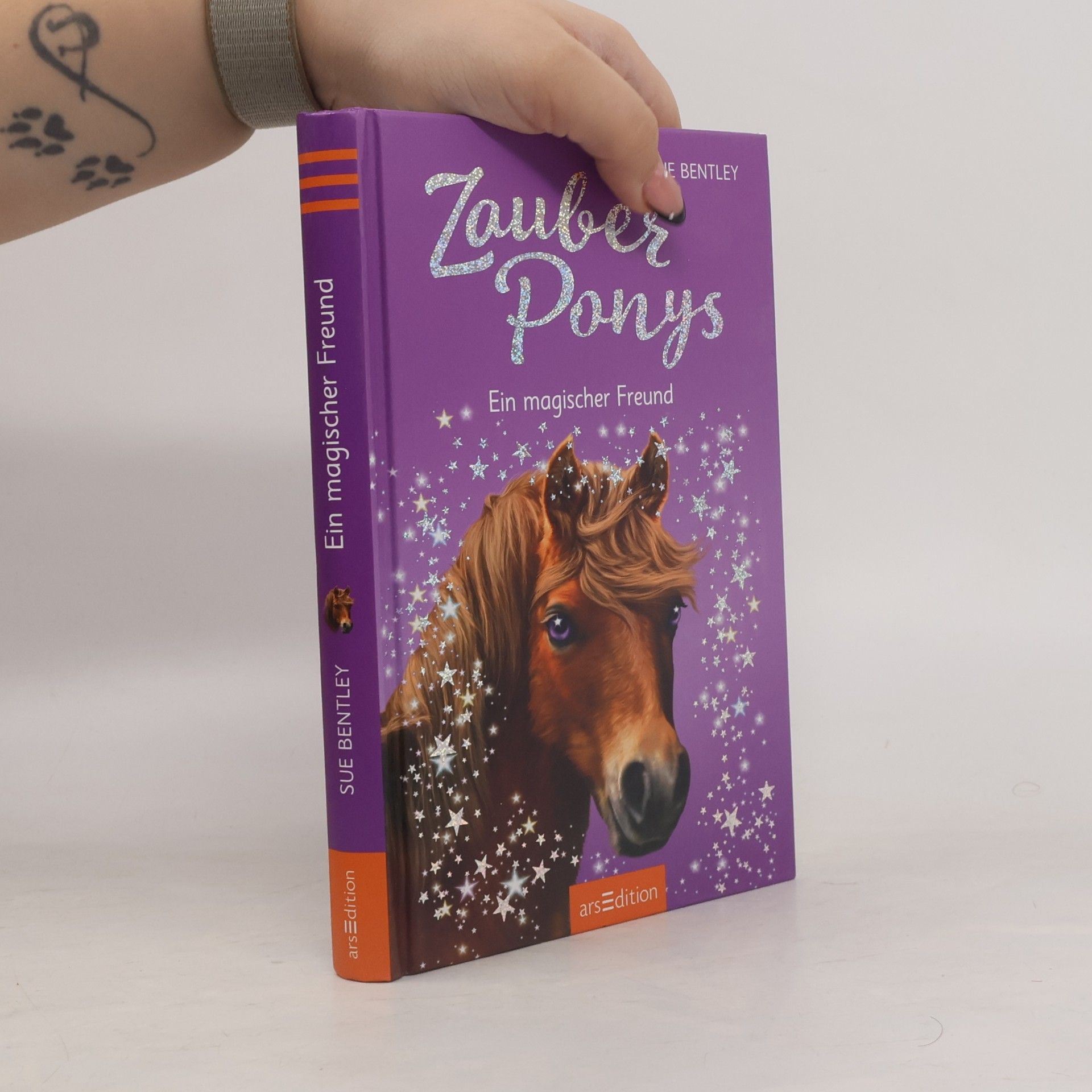 Sue Bentley Zauberponys - ein magischer Freund