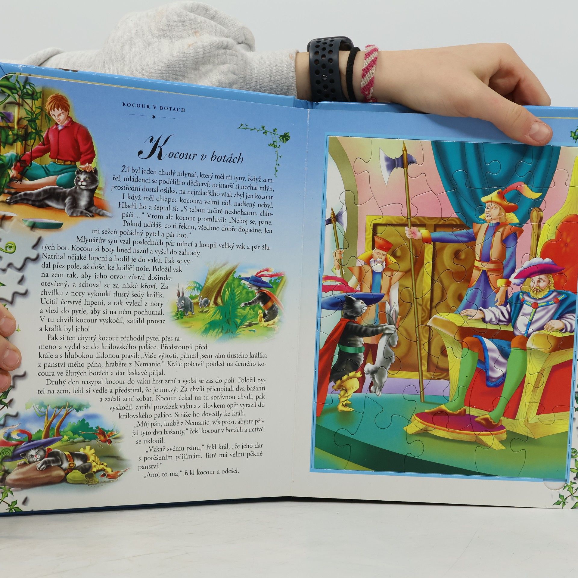 Kolektiv autorů Pohádkové puzzle