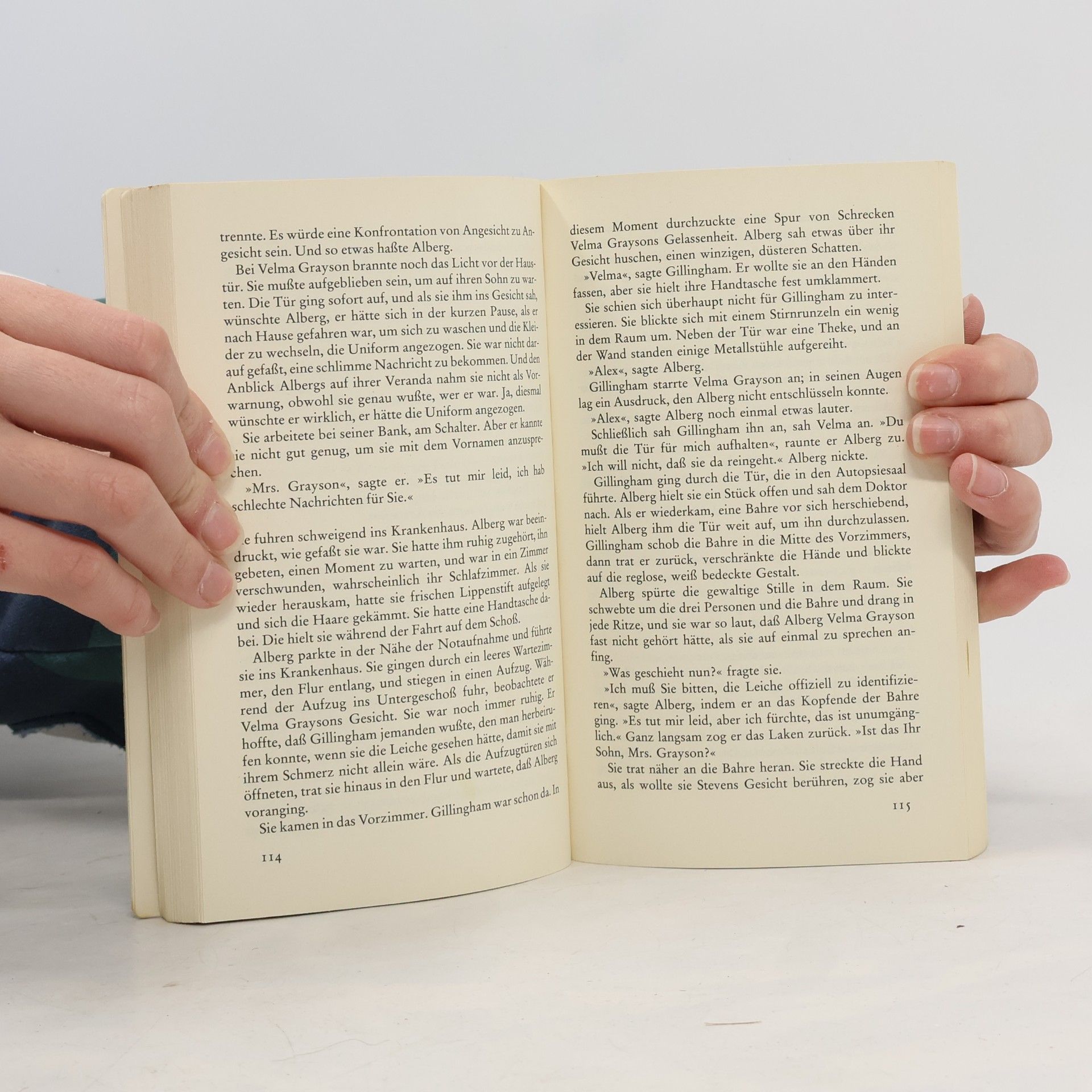 L. R. Wright Haffmans Kriminalromane - 101: Sündenfall