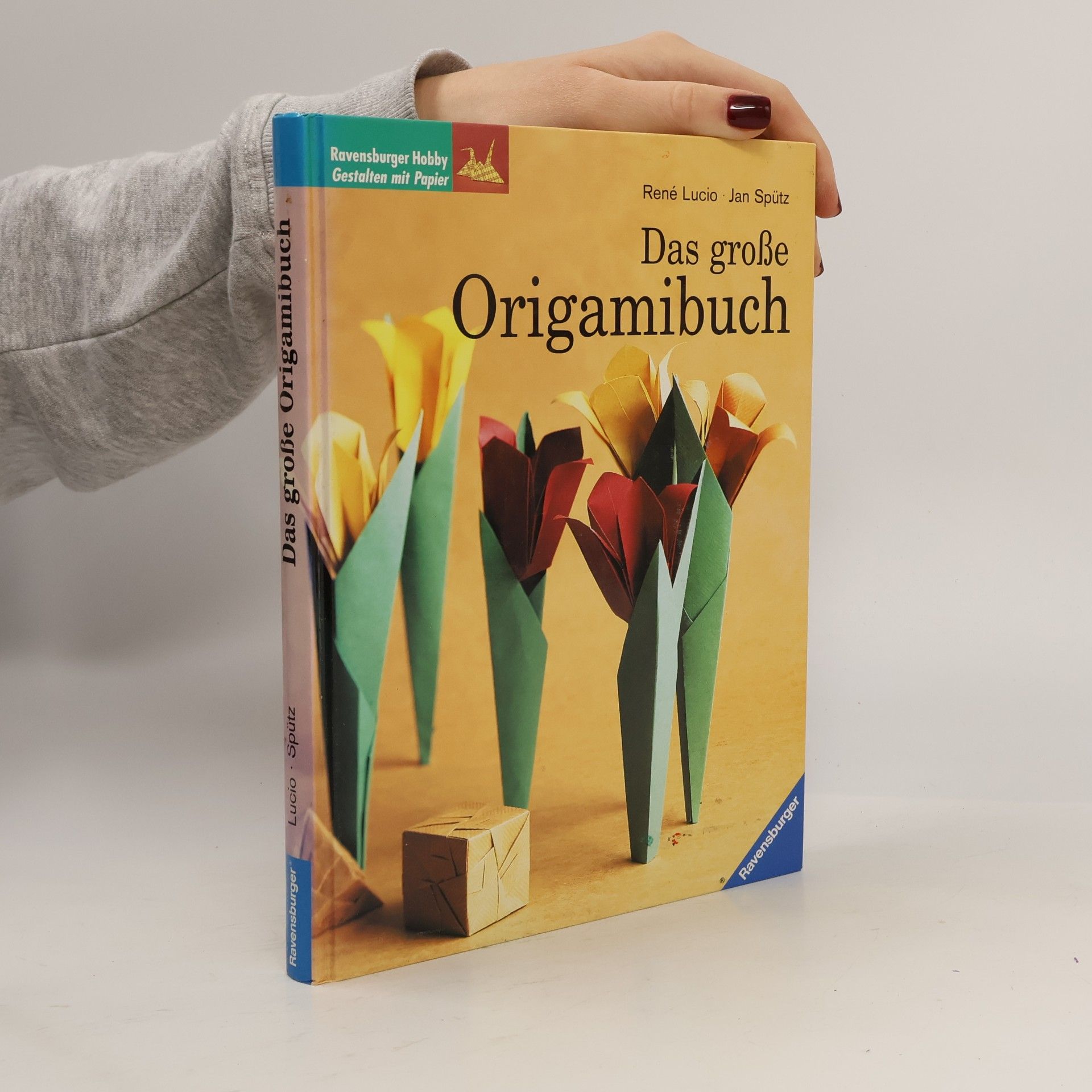 Das große Origamibuch