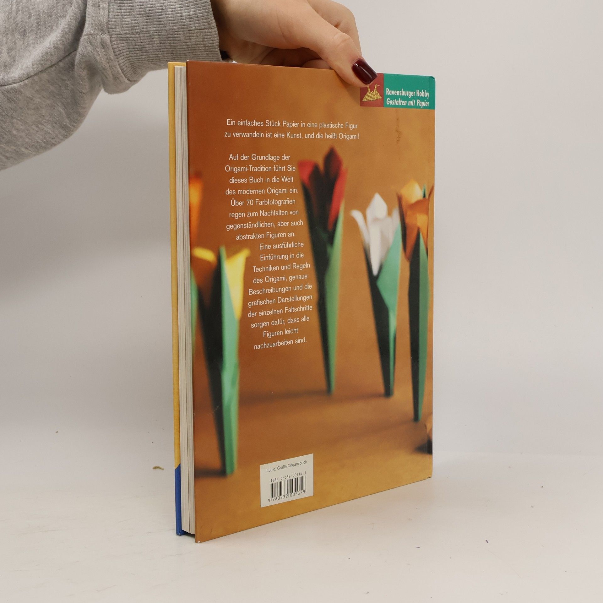 Rene Lucio Das große Origamibuch
