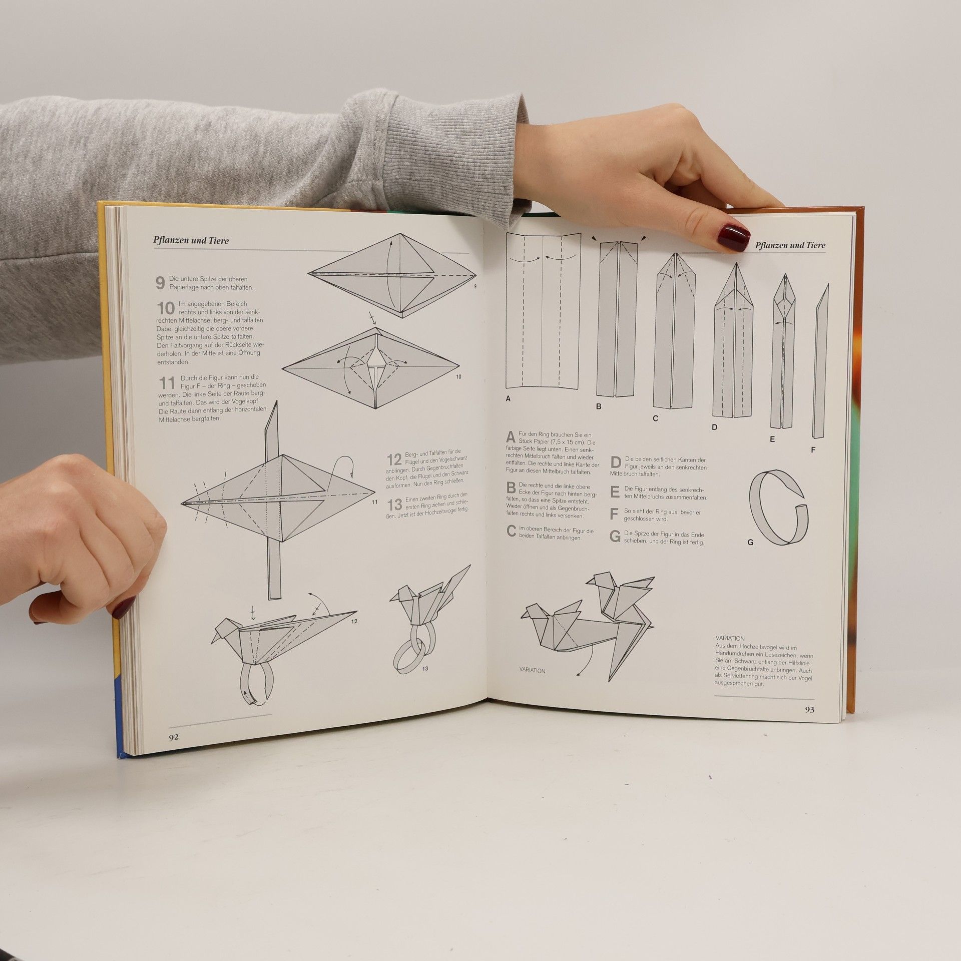Rene Lucio Das große Origamibuch