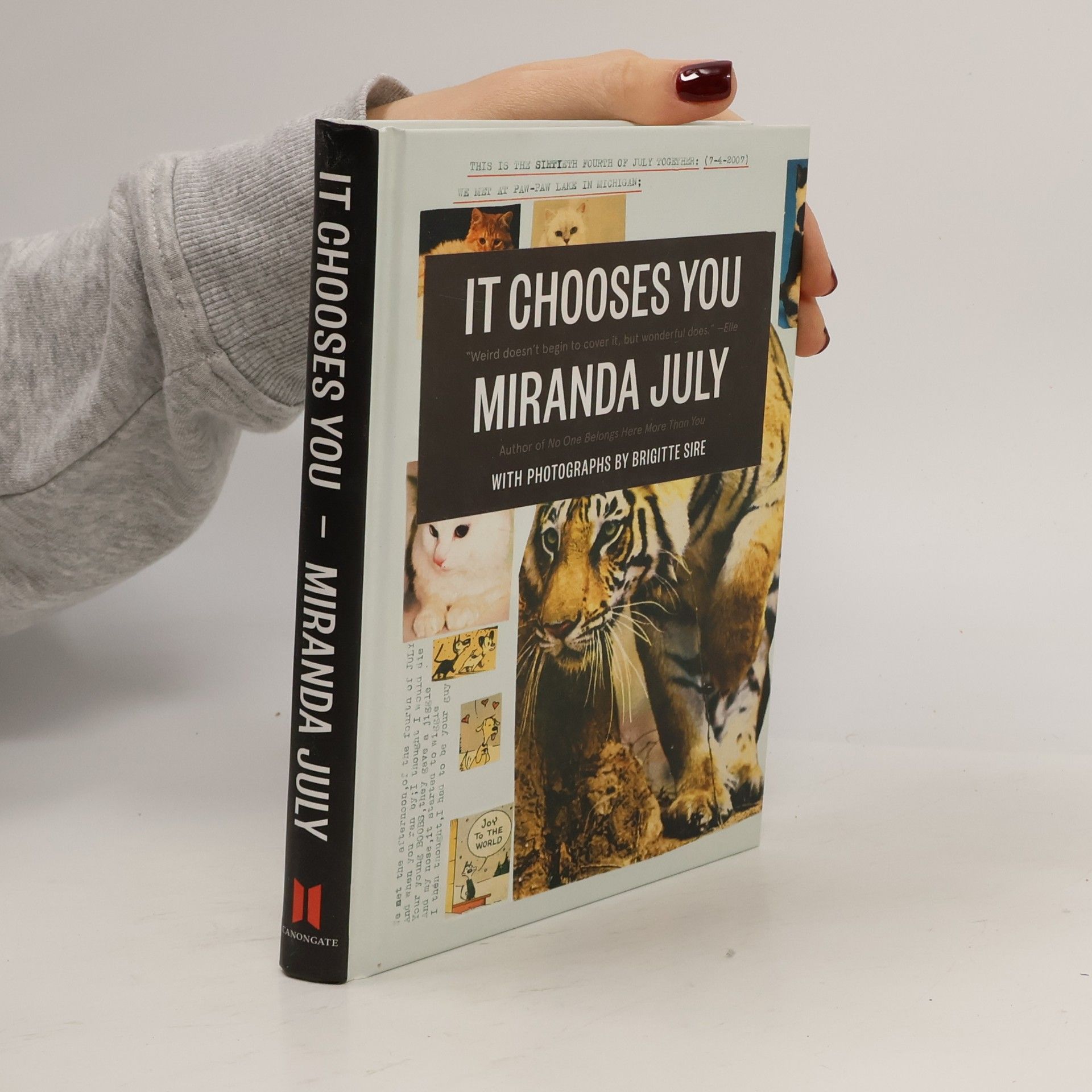 Miranda July It Chooses You