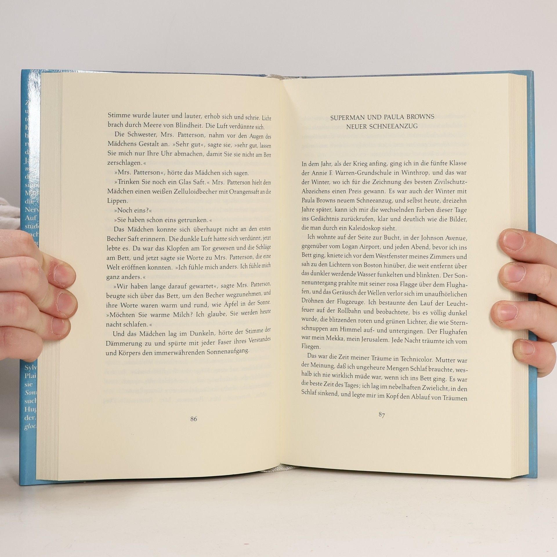 Sylvia Plath Zungen aus Stein. Erzählungen