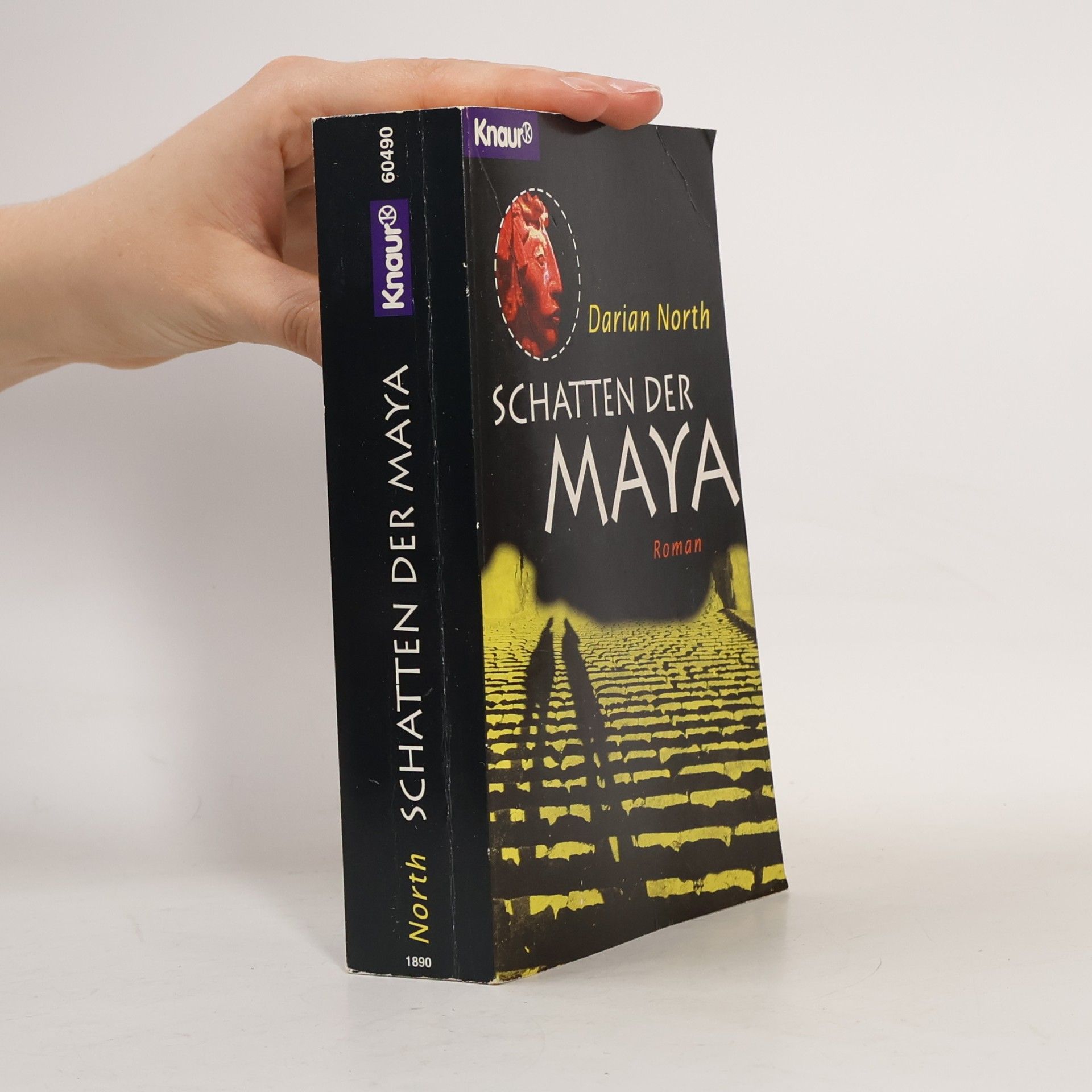 Darian North Schatten der Maya. Roman