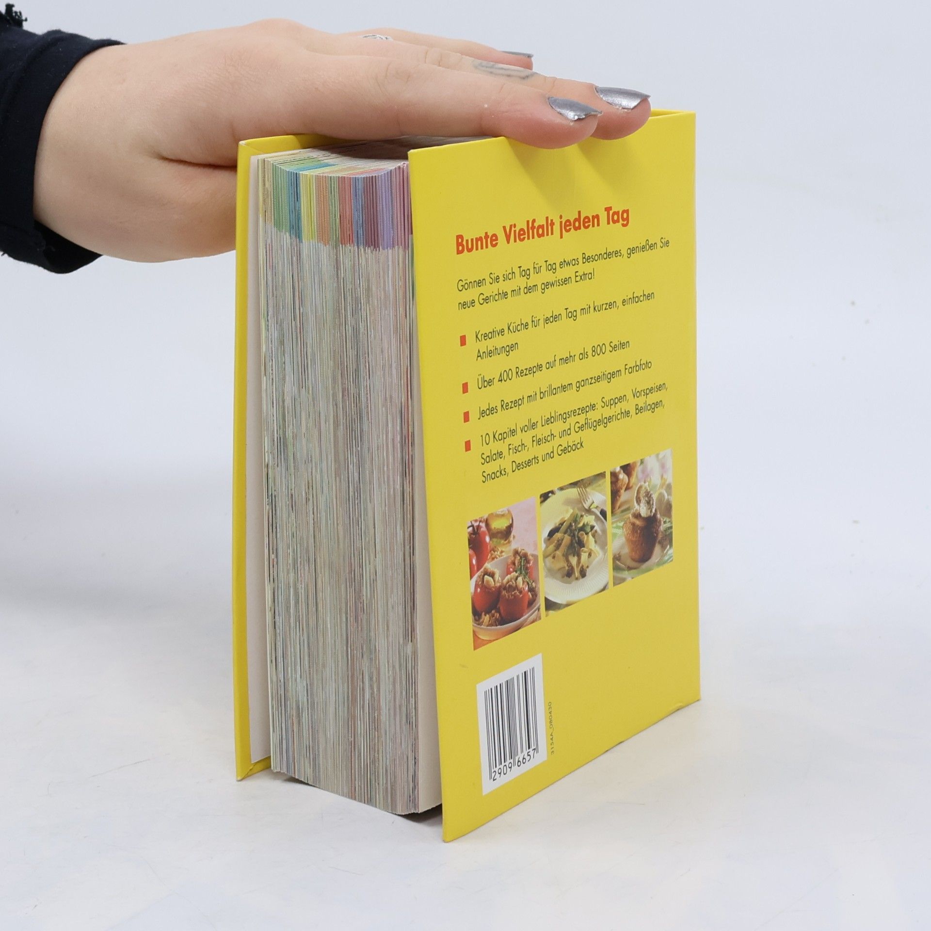 Das kleine dicke Kochbuch