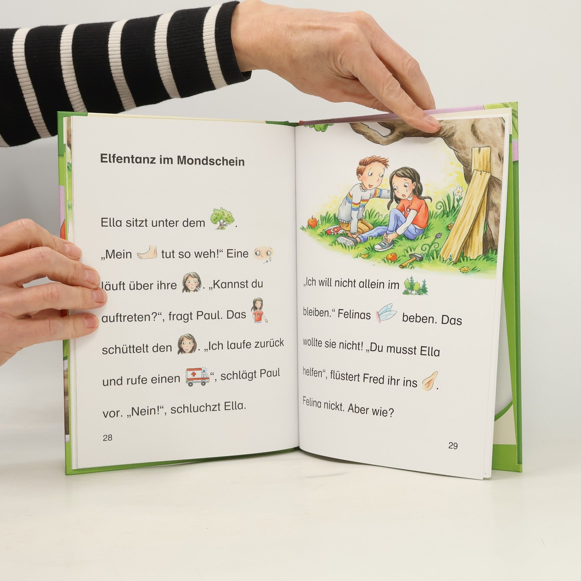 Maja von Vogel Die kleine Elfe und der Freundezauber