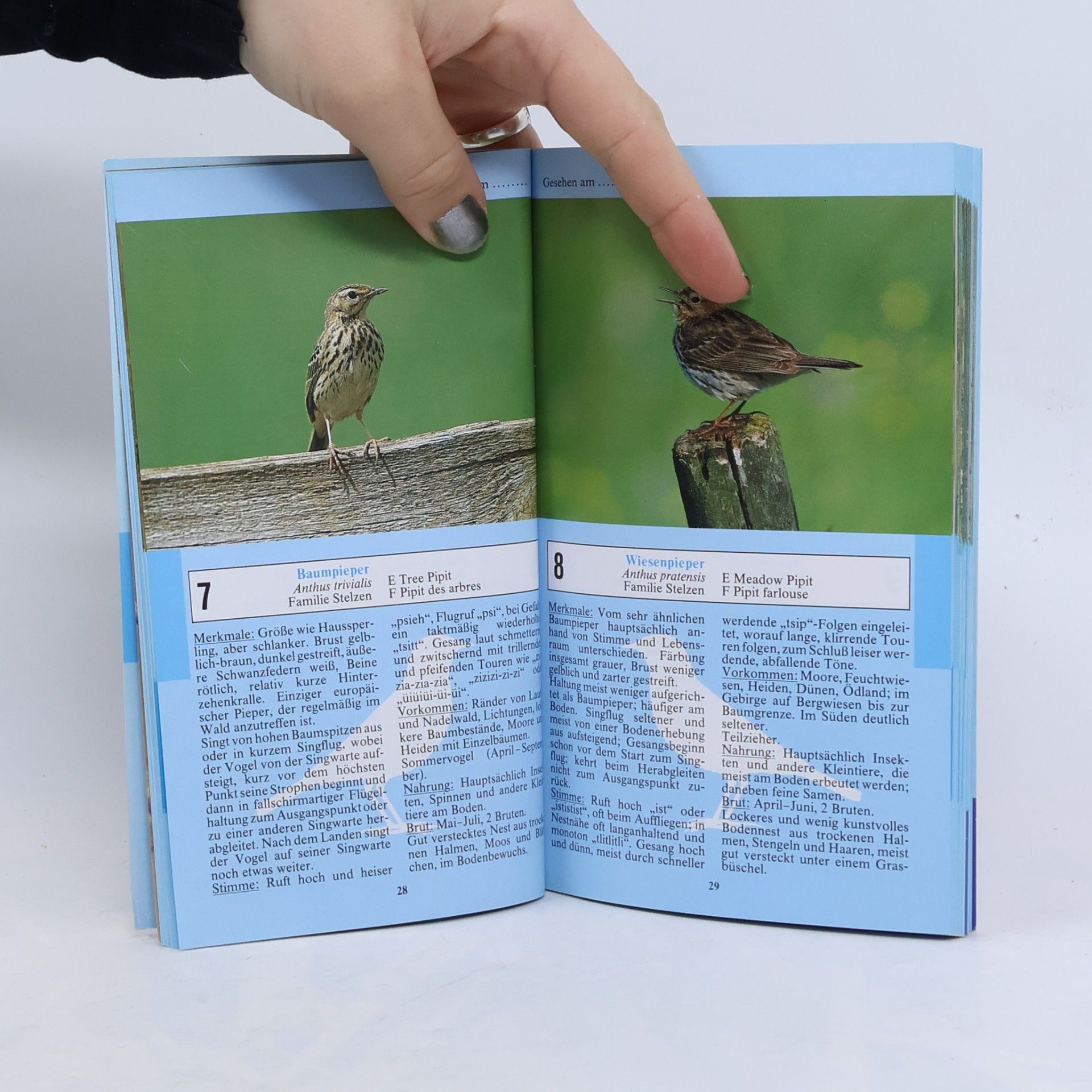 Autorenkollektiv Amsel, Drossel, Fink und Star