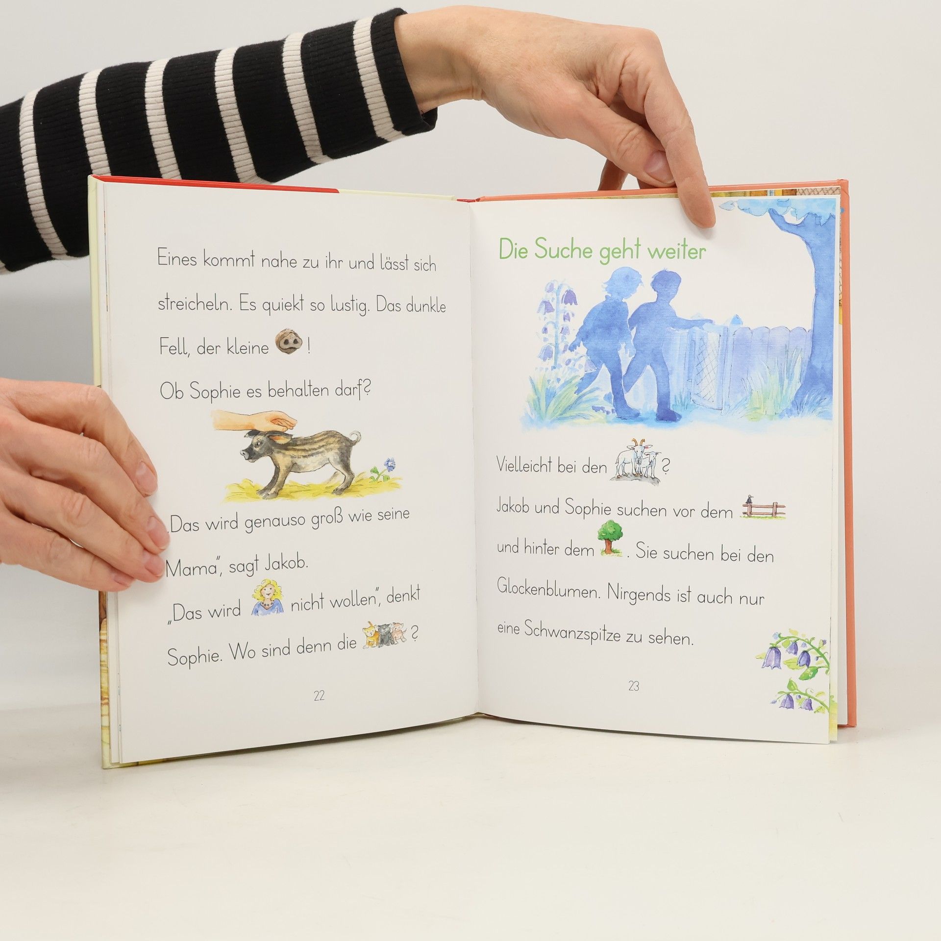 Christine Rettl Katzenbabys gesucht!