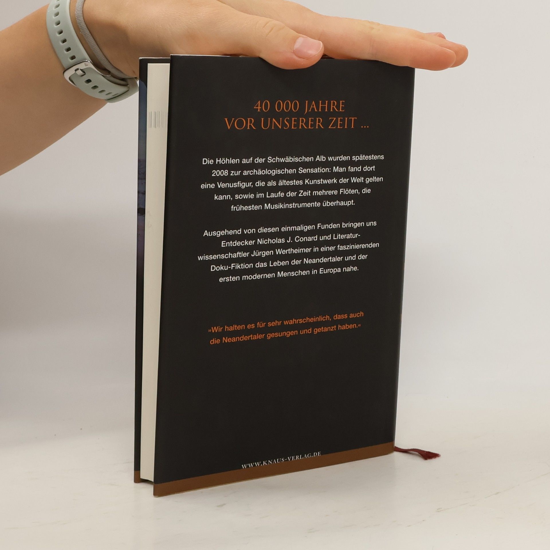 Nicholas John Conard Die Venus aus dem Eis