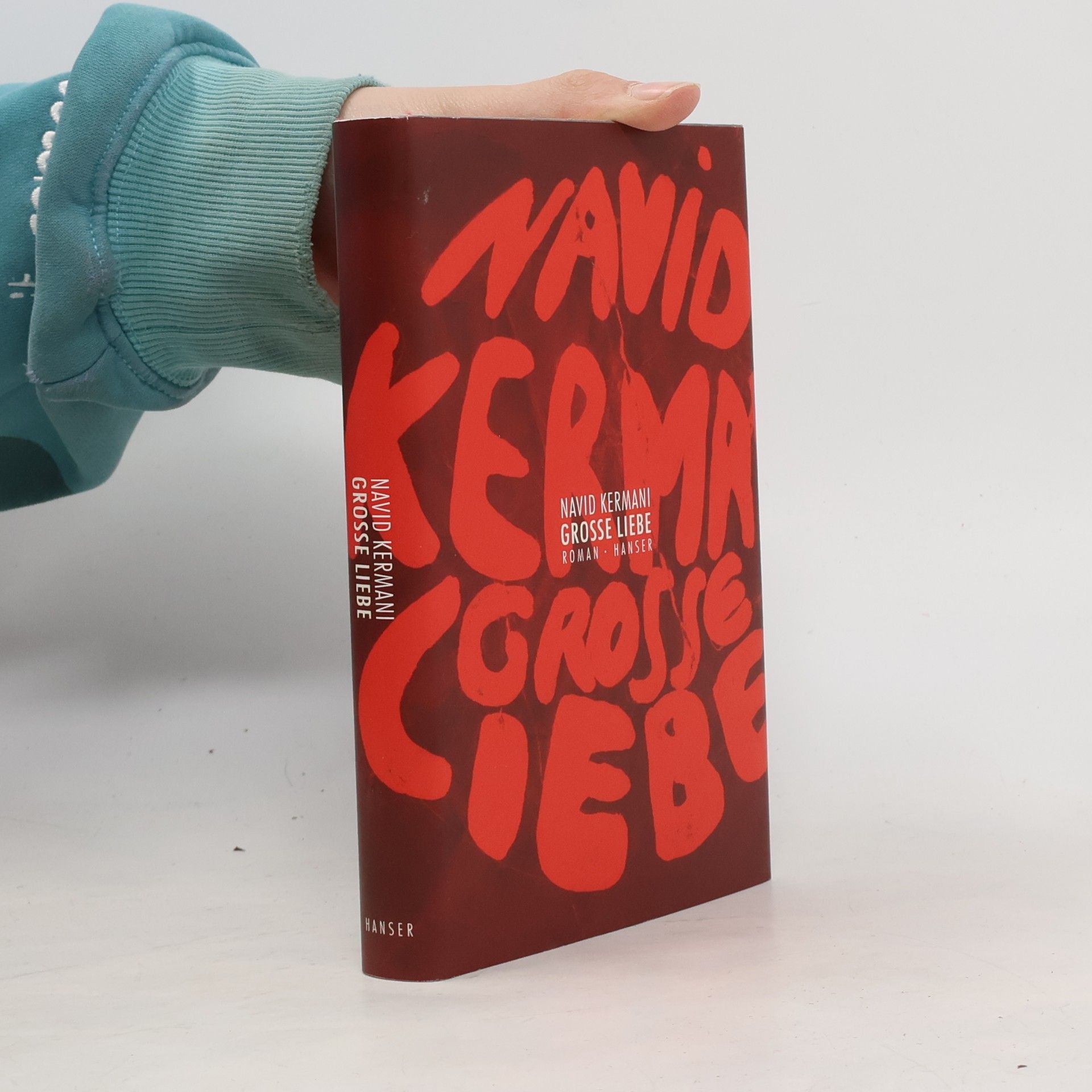 Navid Kermani Große Liebe