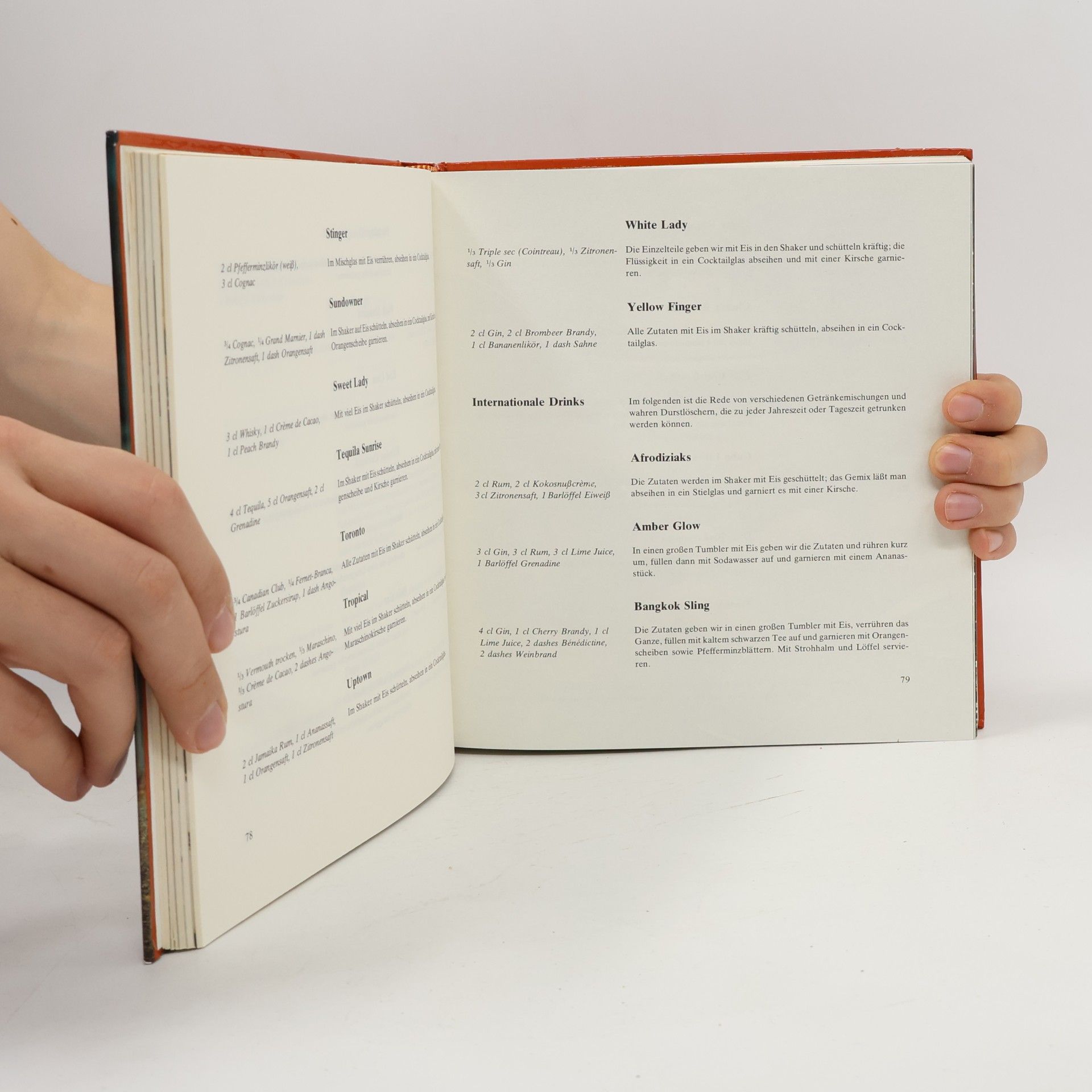 Kolektív autorov Das große Buch der Mixgetränke
