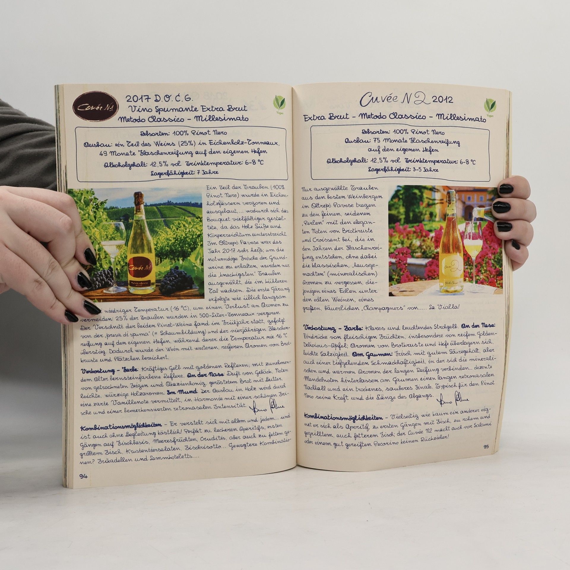 kolektiv "Handbuch"